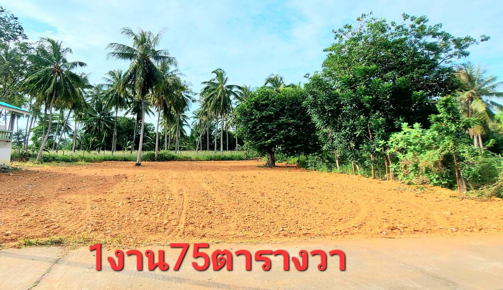 ขายที่ดินกุยบุรี ประจวบคีรีขันธ์ 0-1-75 ไร่