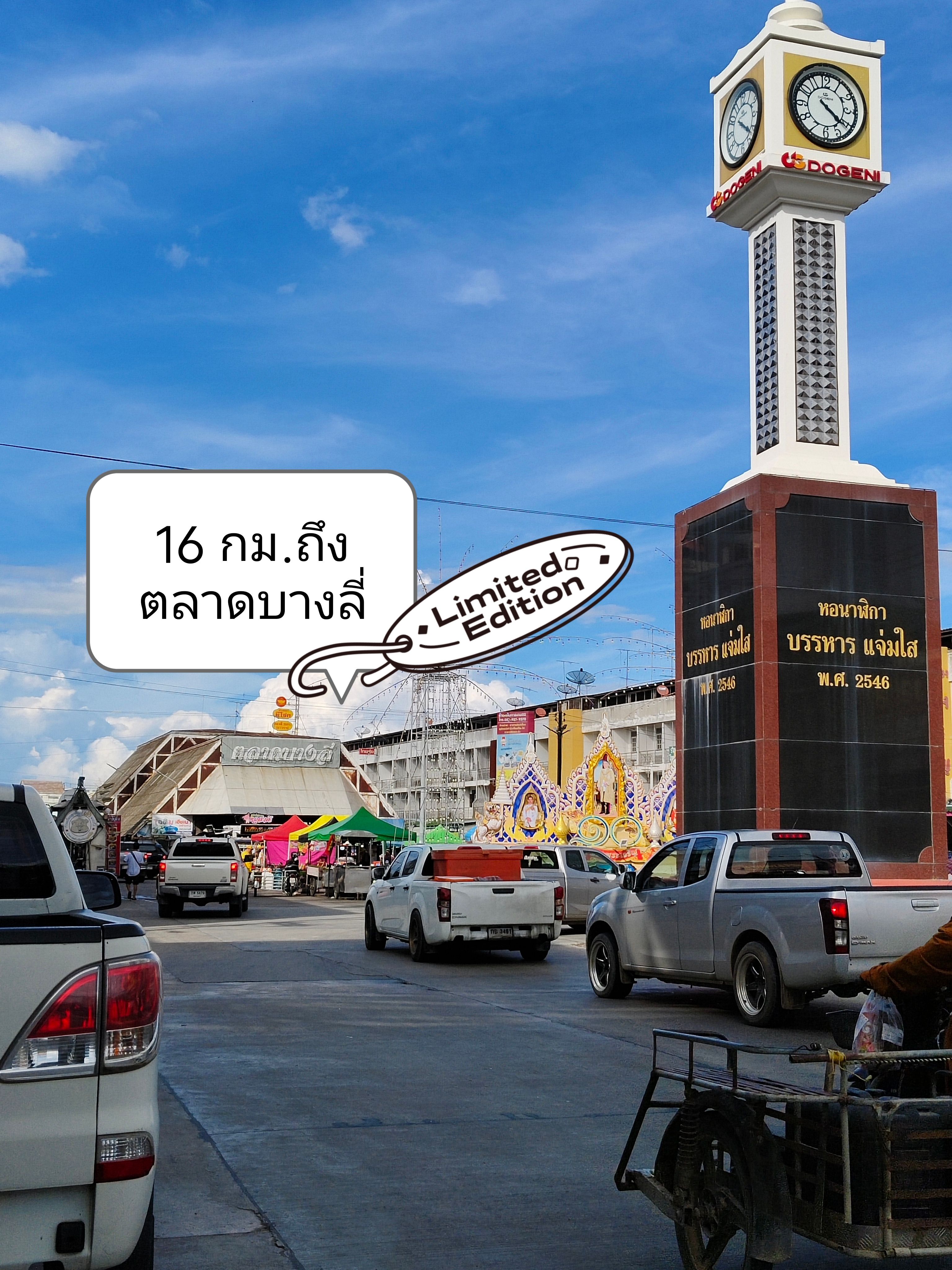 ขายที่ดิน 13 ไร่1 งาน 