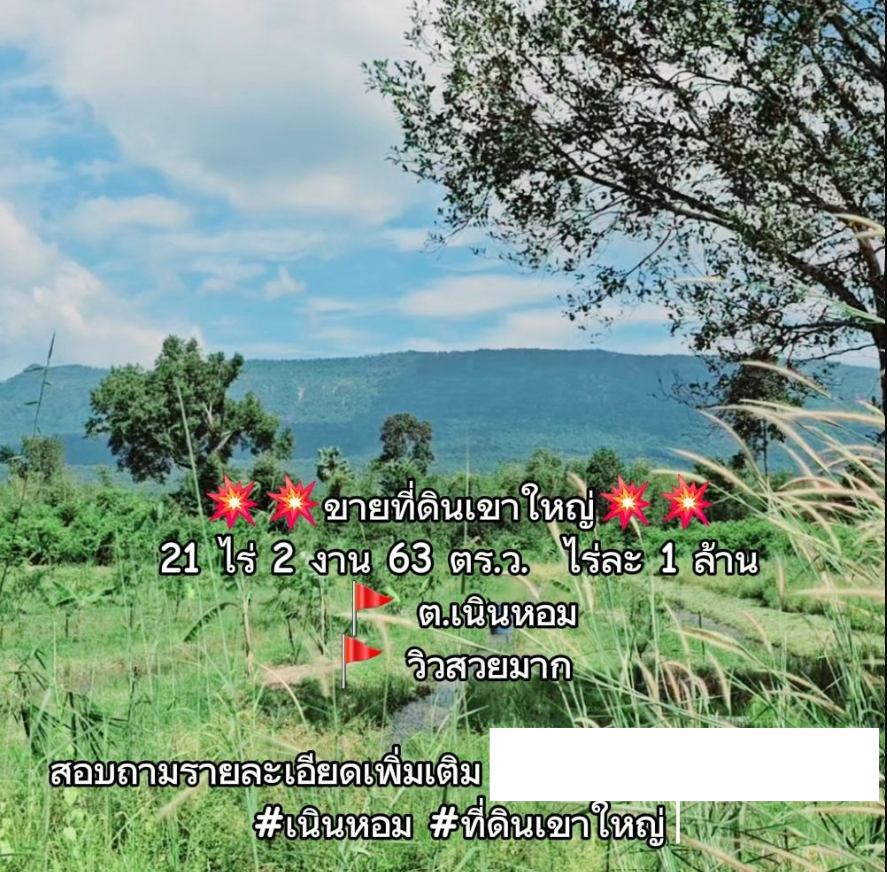 ขายที่ดิน วิวเขาใหญ่สวยๆ