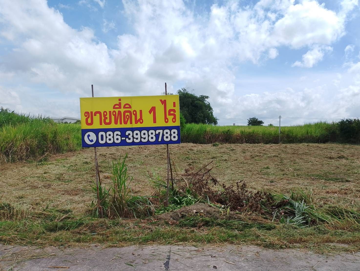 ขายที่ดิน 1 ไร่ บ้านบึง ชลบุรี