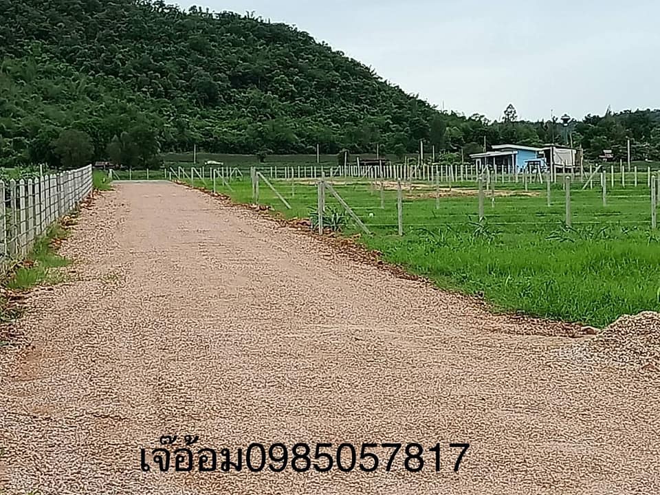 ที่ดิน หนองตากยา อ.ท่าม่วง จ.กาญจนบุรี. 150ตารางวา
