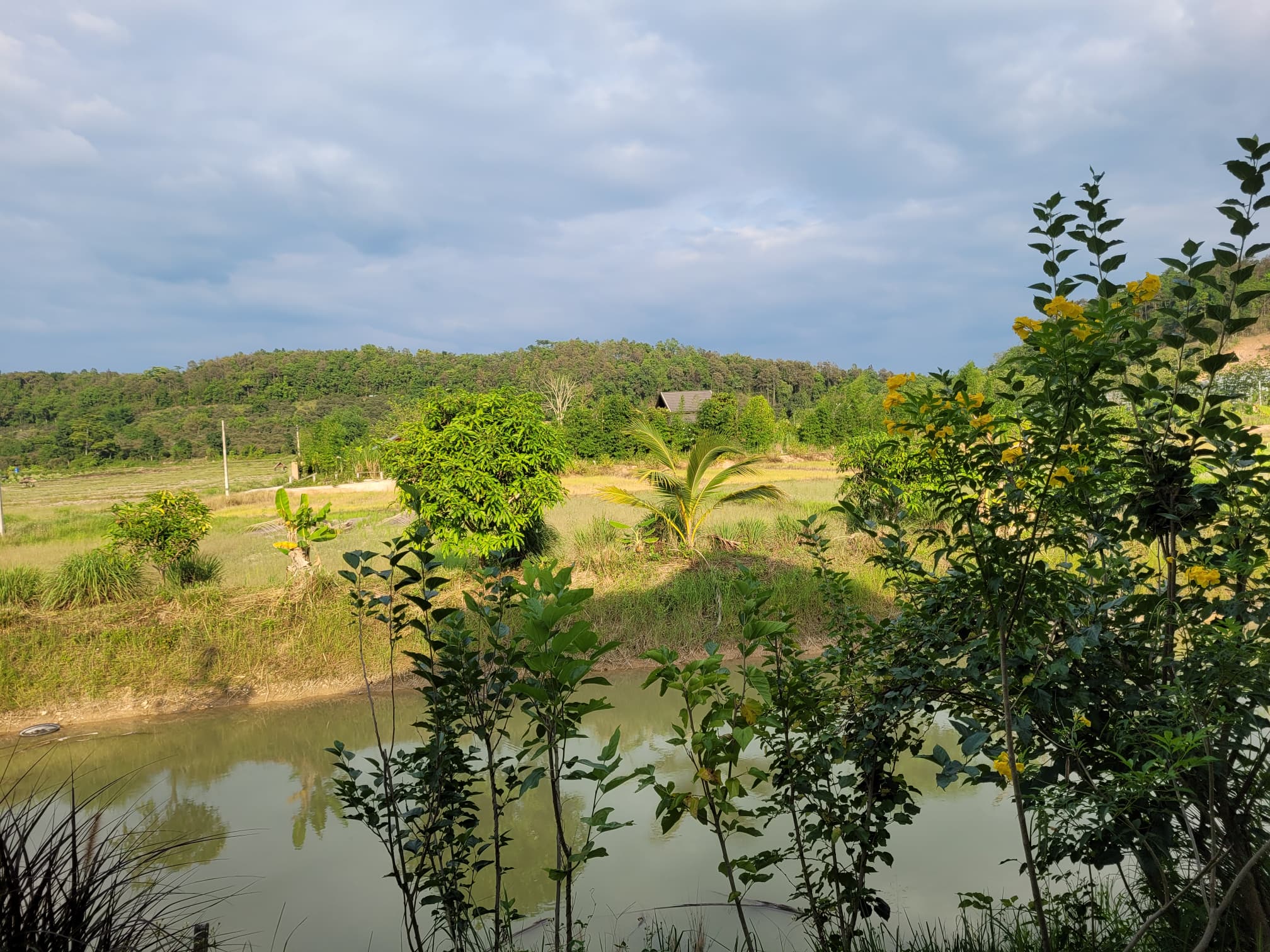 บ้านพร้อมที่นา ใกล้ธรรมชาติ