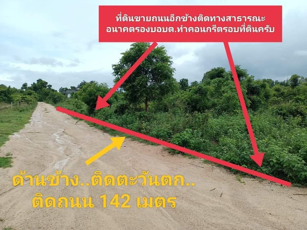 ขายที่ดิน ตาก 12-2-11.4 ไร่