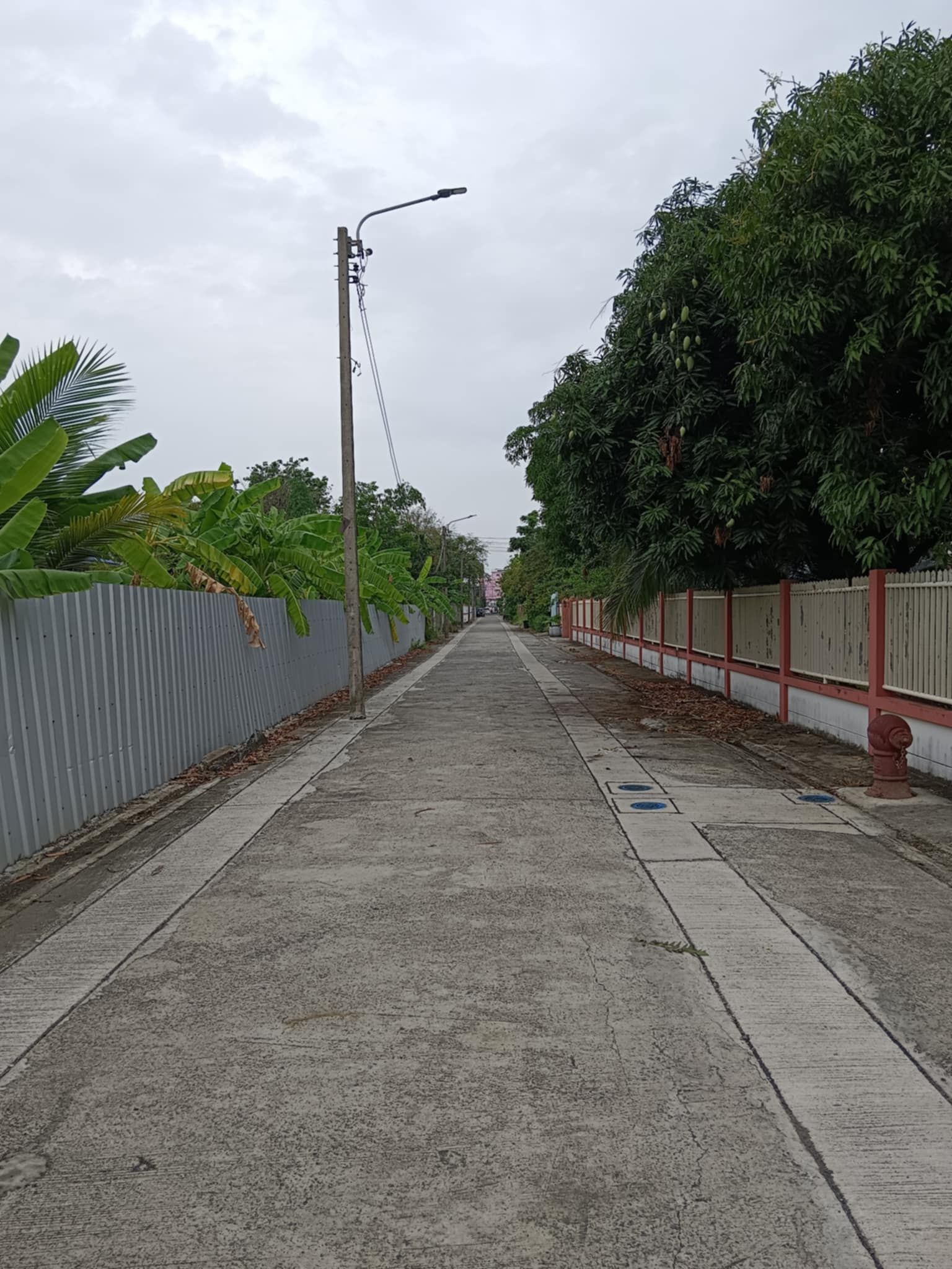ขายที่ดินบางเขน บ้านสวนกรุงเทพฯ ที่ดิน 5 ไร่
