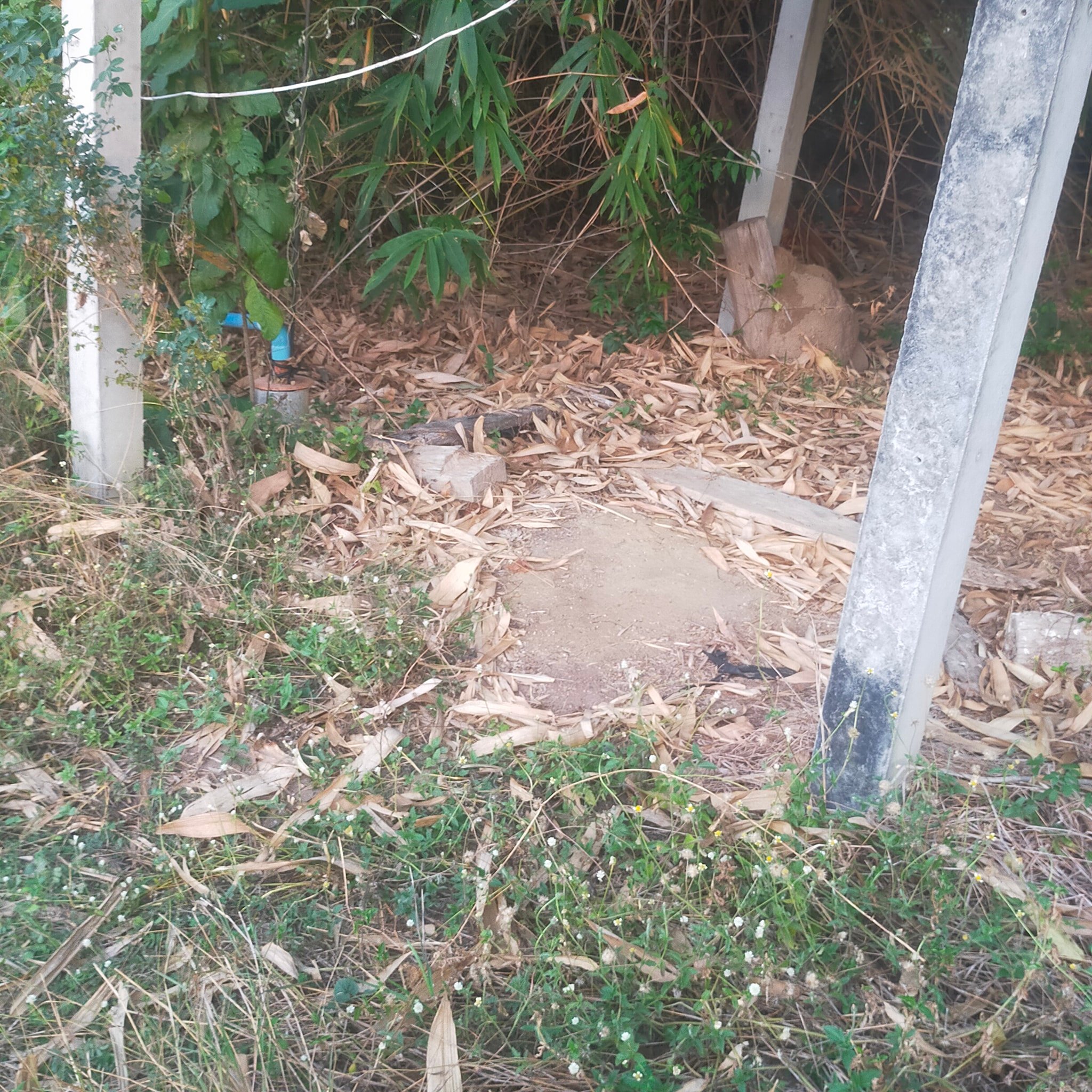 ที่ดิน16ไร่ อ.หนองหญ้าไซ สุพรรณบุรี