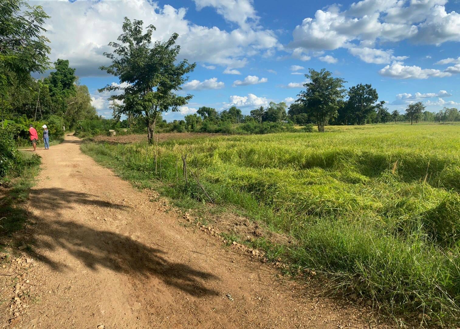 ที่ดิน เหมาะทำบ้านสวนเกษตรพอเพียง โคกหนองนา  พิจิตร 4-1-80