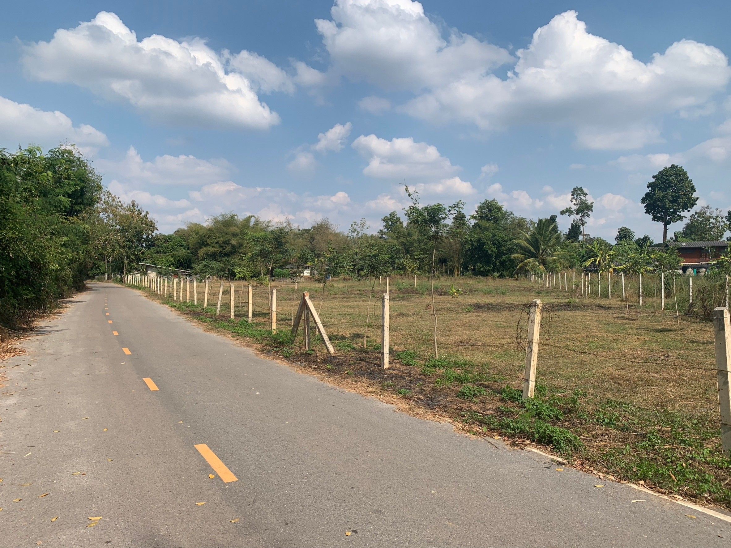 ขายที่ดินลำปาง ที่เปล่า ตรงข้ามเทศบาลตำบลไหล่หิน เกาะคา1-3-27 ไร่