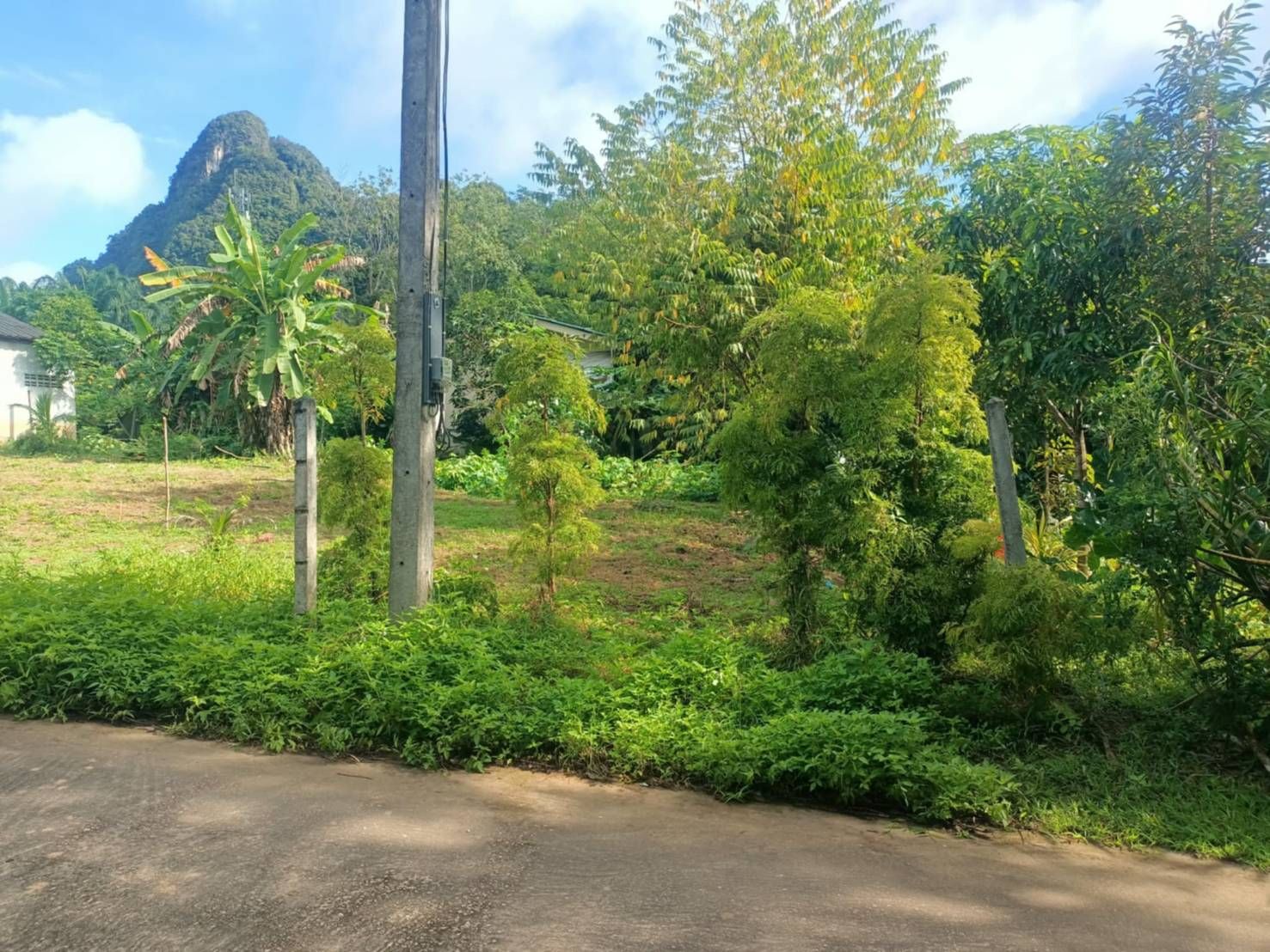ขายที่ดินกระบี่ อำเภอเมือง ที่ดินราคาถูก แปลงสวย บรรยากาศดีมาก 