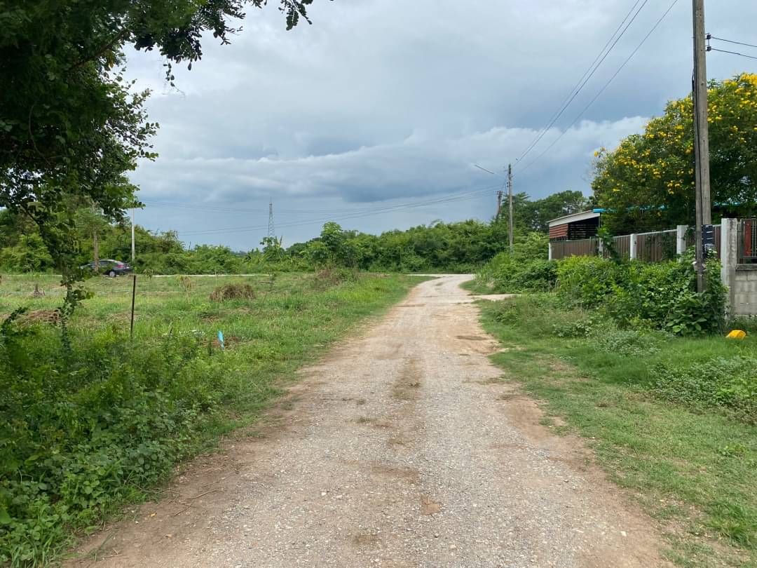 ขายที่ดินจังหวัดพิษณุโลก อำเภอเมือง