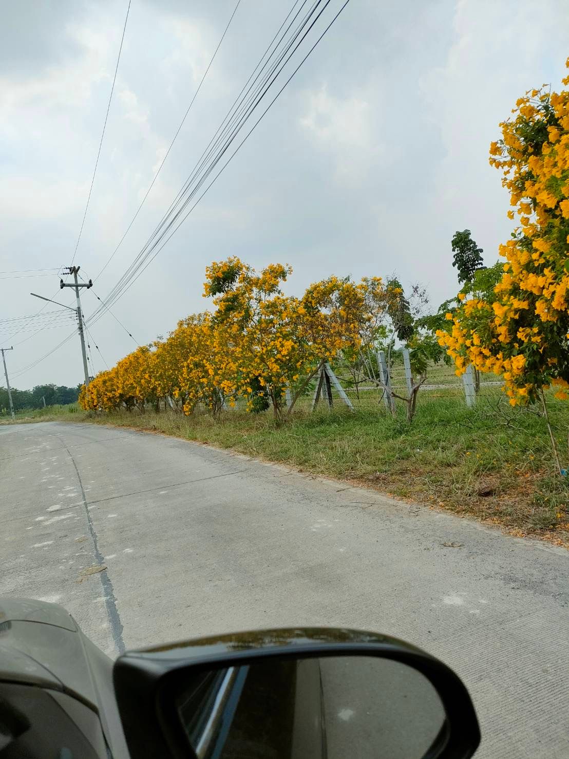 ขายที่ดิน เนื้อที่ 3 ไร่  ต. พลับพลาไชย อ. อู่ทอง จ.สุพรรณบุรี