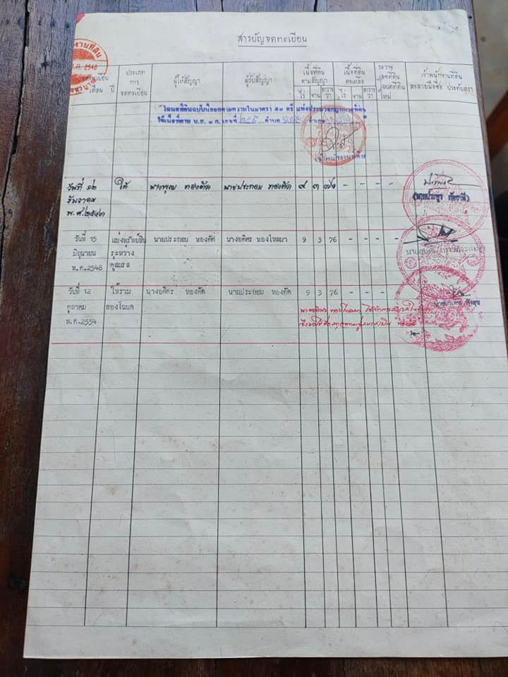 ขายที่ดินเพชรบูรณ์ หนองไผ่ 9-3-76