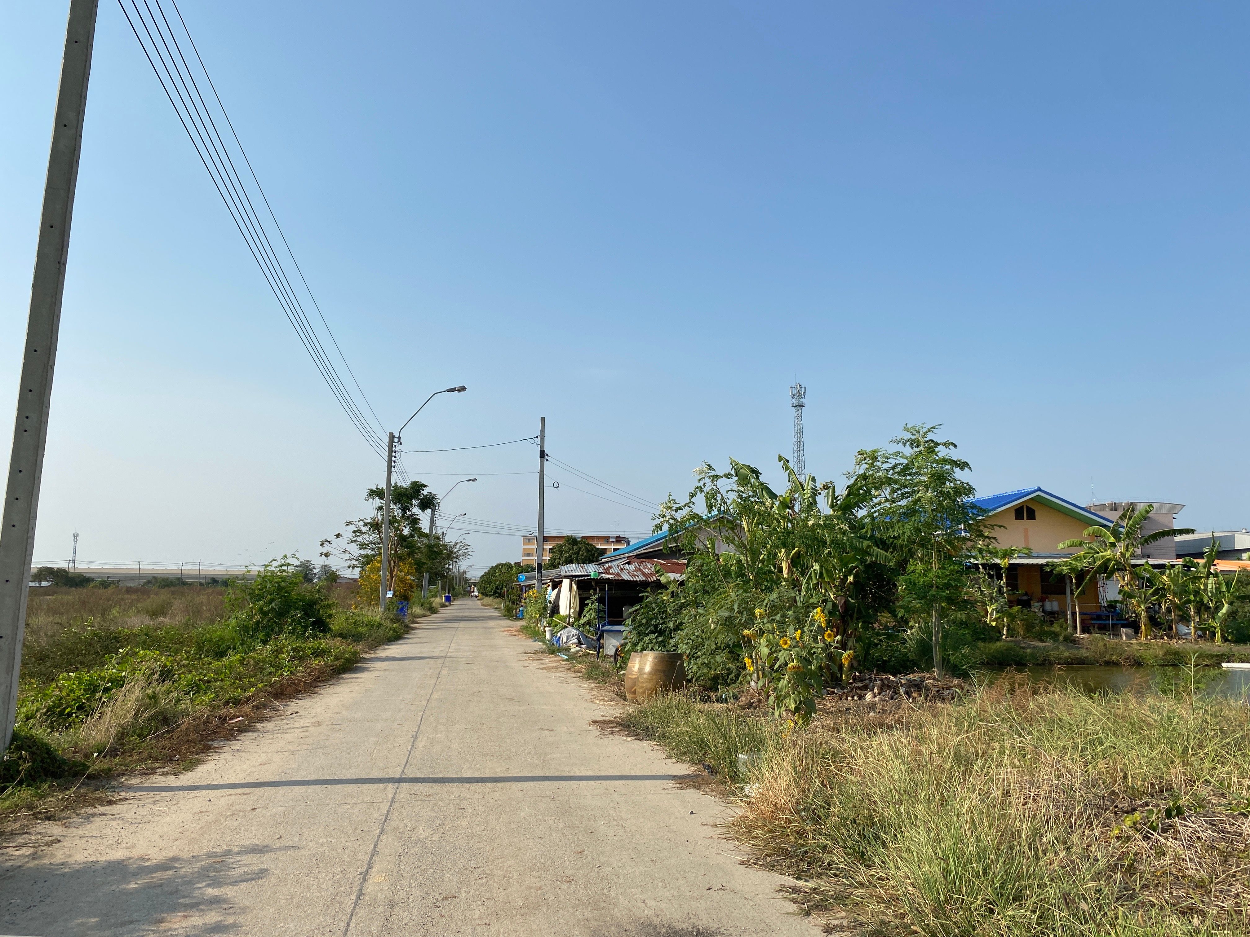 ขายที่ดิน 8 ไร่ บางนา กม.23 พื้นที่สีม่วงเขตอุตสาหกรรม สมุทรปราการ ซอยวัดบัวโรย