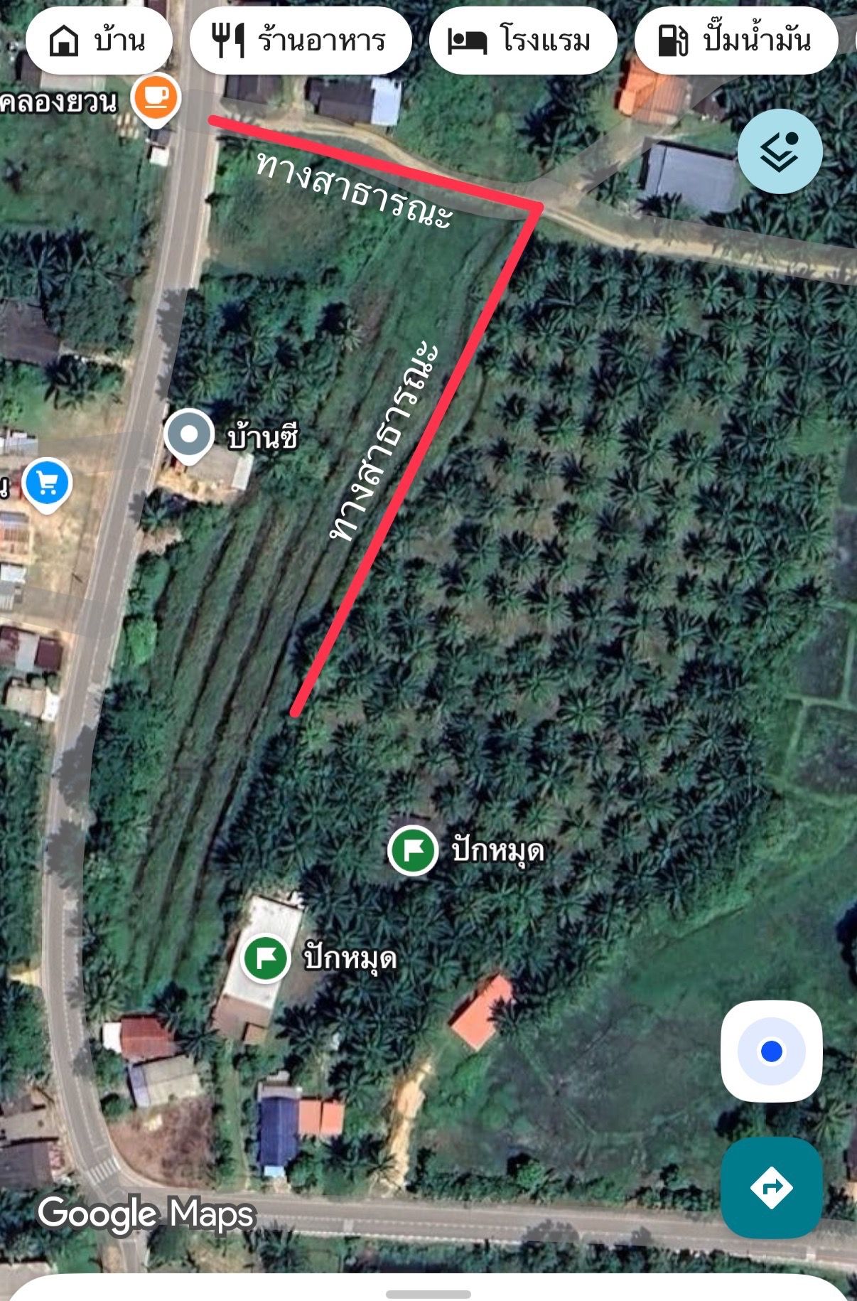 ที่ดินพร้อมบ้านกระบี่ เหนือคลอง อยู่ในสวนปาล์ม 3-1-30 ไร่.