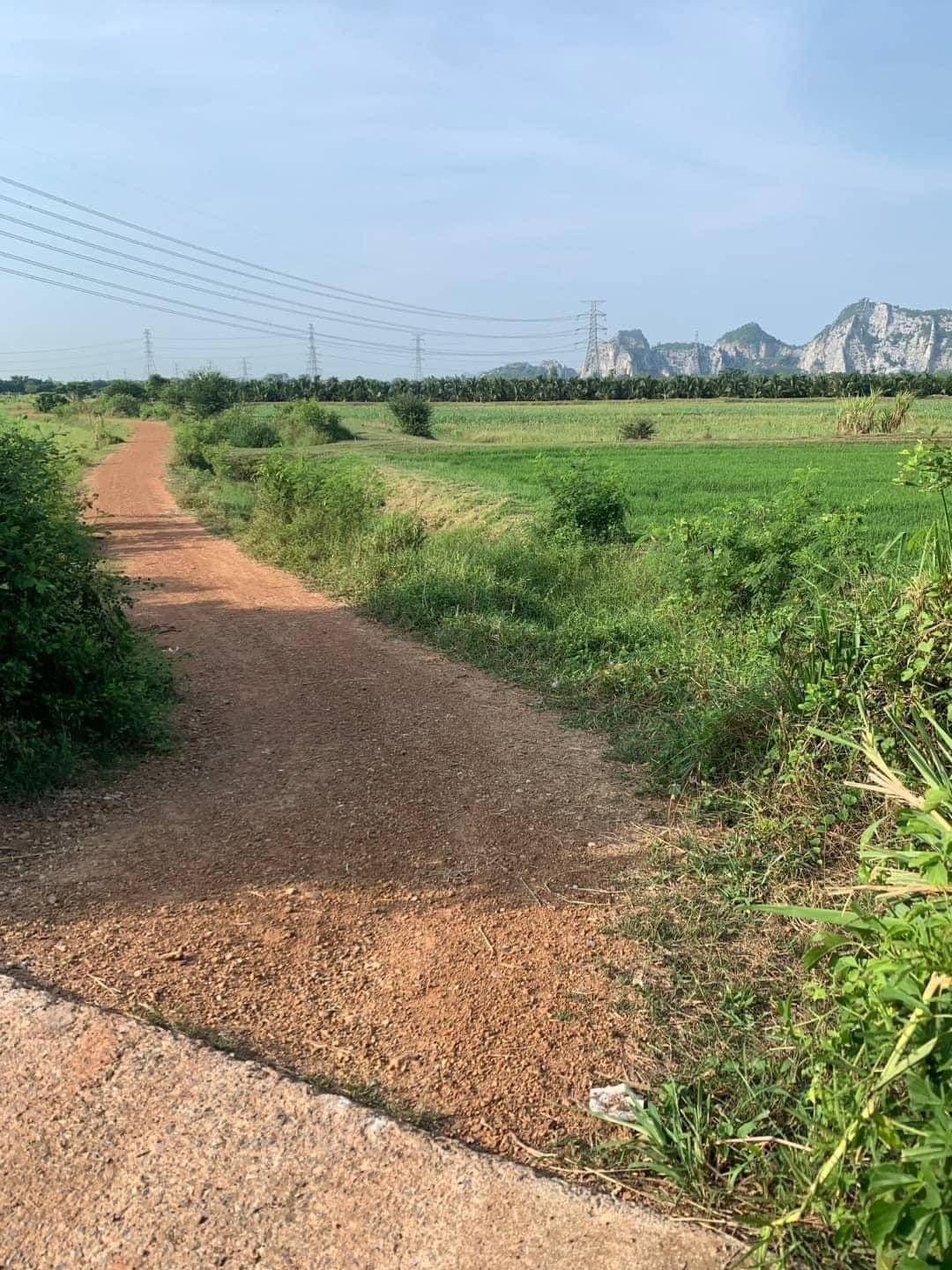 ขายที่ดิน 7 ไร่ 2 งาน