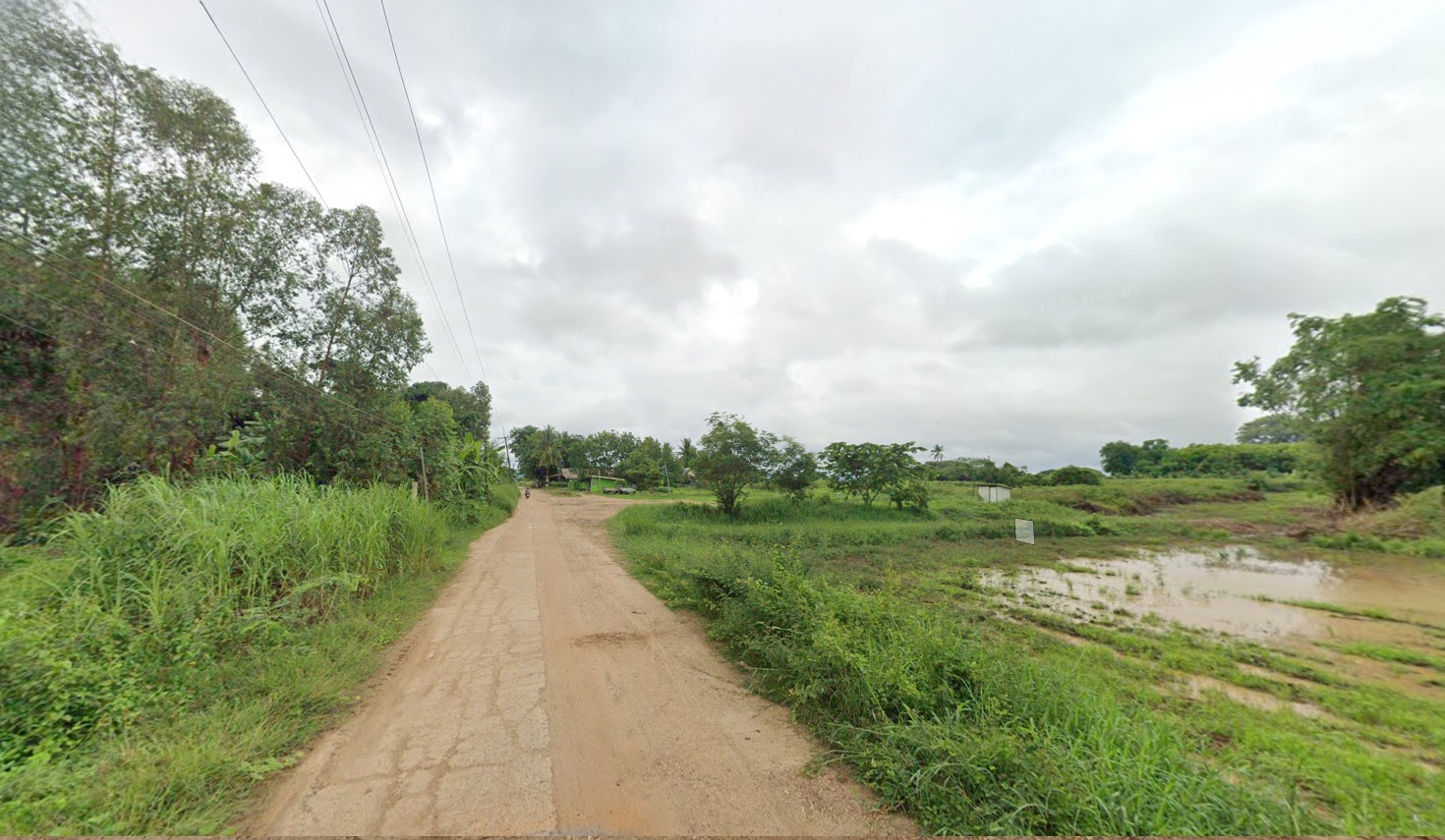 ขายที่ดินนครพนม อำเภอบ้านแพง ที่ดินสวน