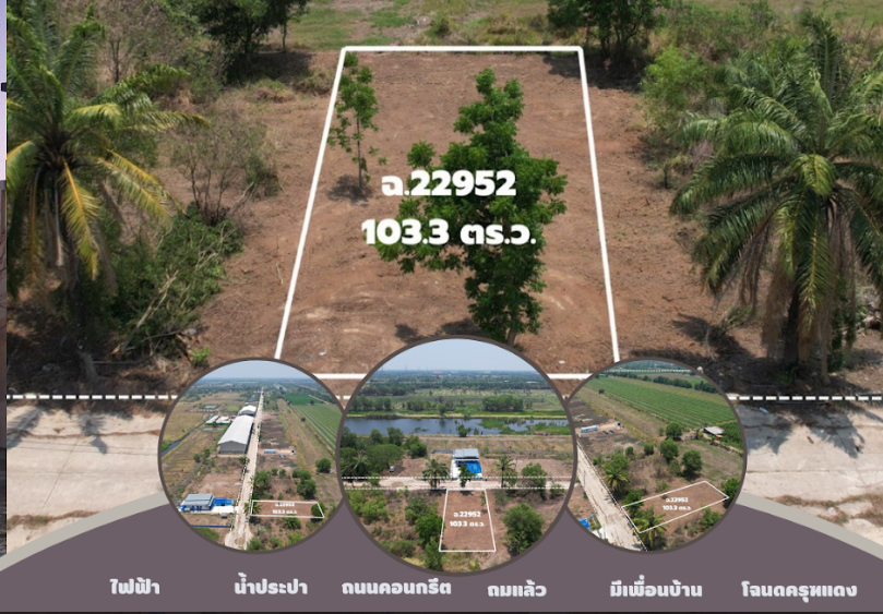 ขายที่ดินปทุมธานี หนองเสือ ตรงสะพานม่วงทิพย์ธิดาแลนด์ 