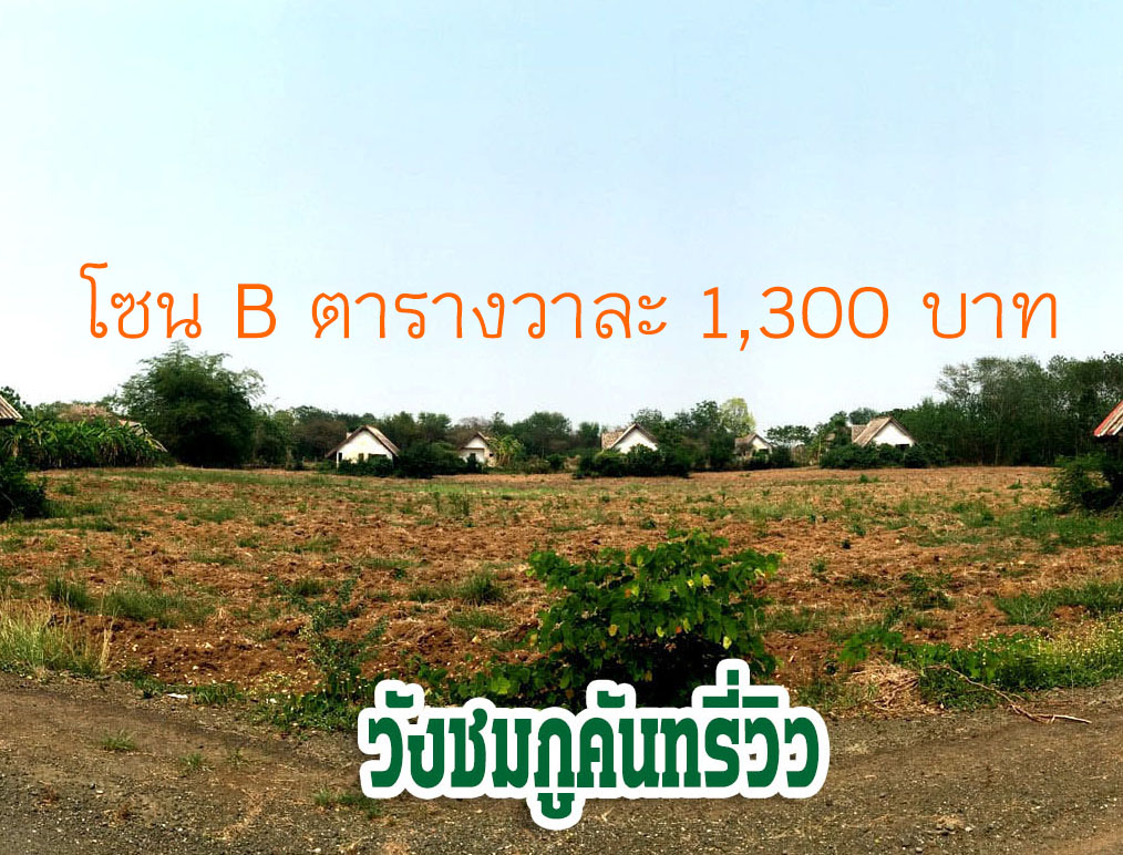 ที่ดินเปล่า แบ่งขาย เริ่มต้นที่ 3 งาน 79.5 ตารางวา อ.เมืองเพชรบูรณ์  จ.เพชรบูรณ์