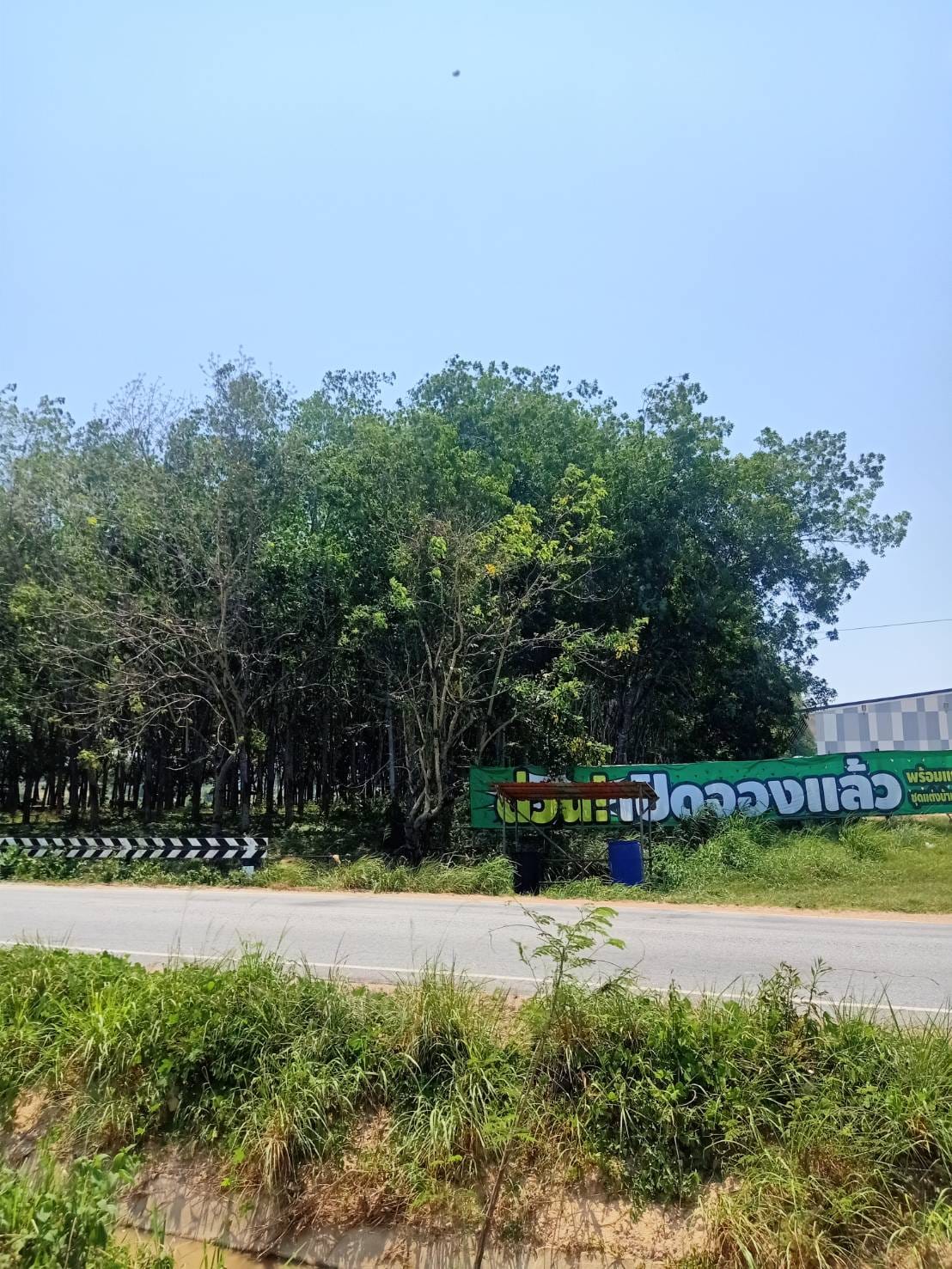 ที่สวนยาง ครุฑแดง  