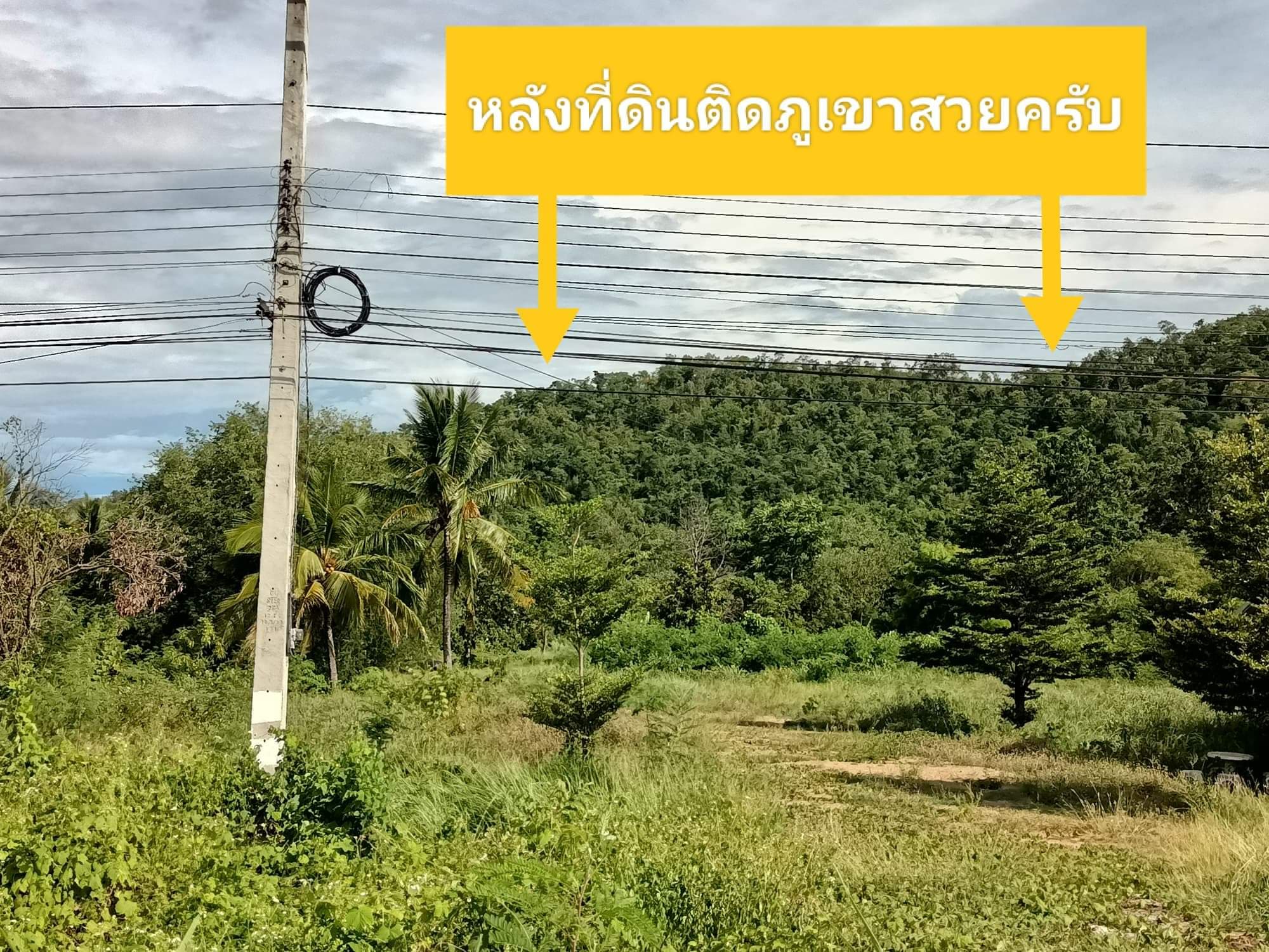 ที่ดินเปล่า อ.เมืองตาก จ.ตาก 7-1-26