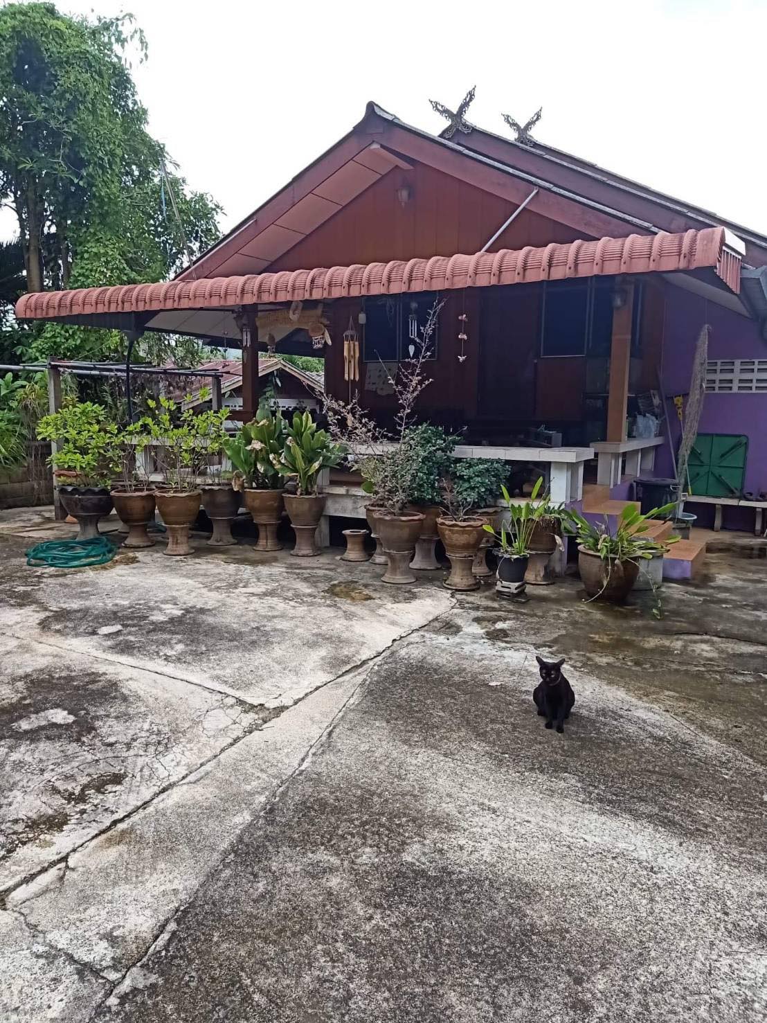 บ้านพร้อมที่ดิน กุยบุรี ประจวบฯ 0-1-61