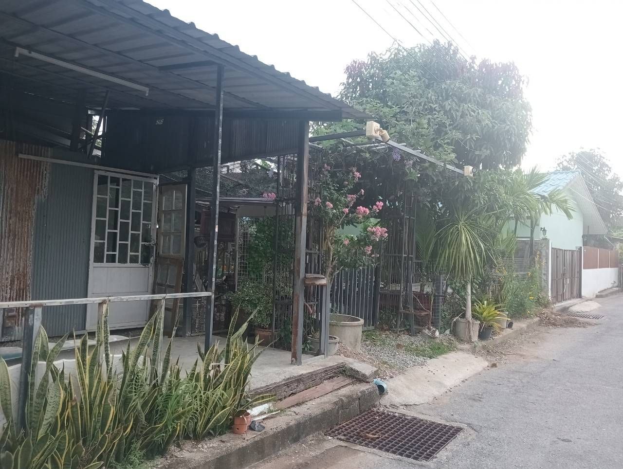 ขายที่ดินยะลา ที่ดินสวย ทำเลดี กลางเมืองยะลา แหล่งอำนวยความสะดวกรอบด้าน เดินทางคล่องตัว 0-0-50.6 ไร่.