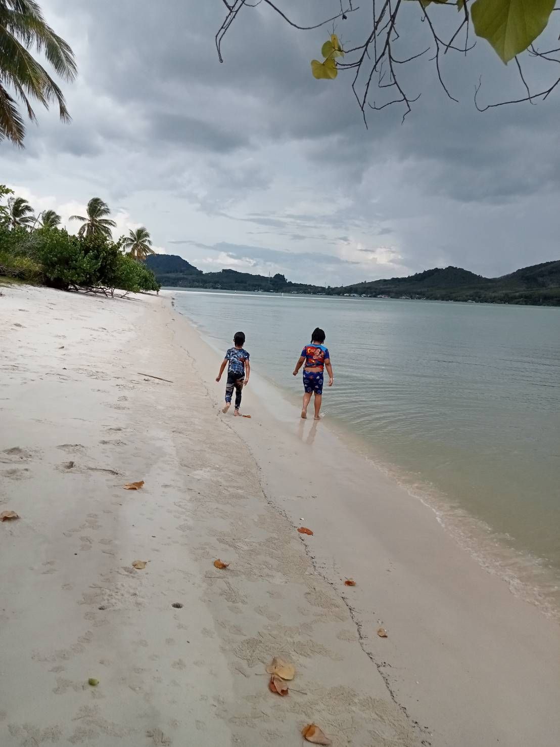 ขายที่ดินห่างชายหาด500เมตร เกาะยาวใหญ่ ราคาถูก