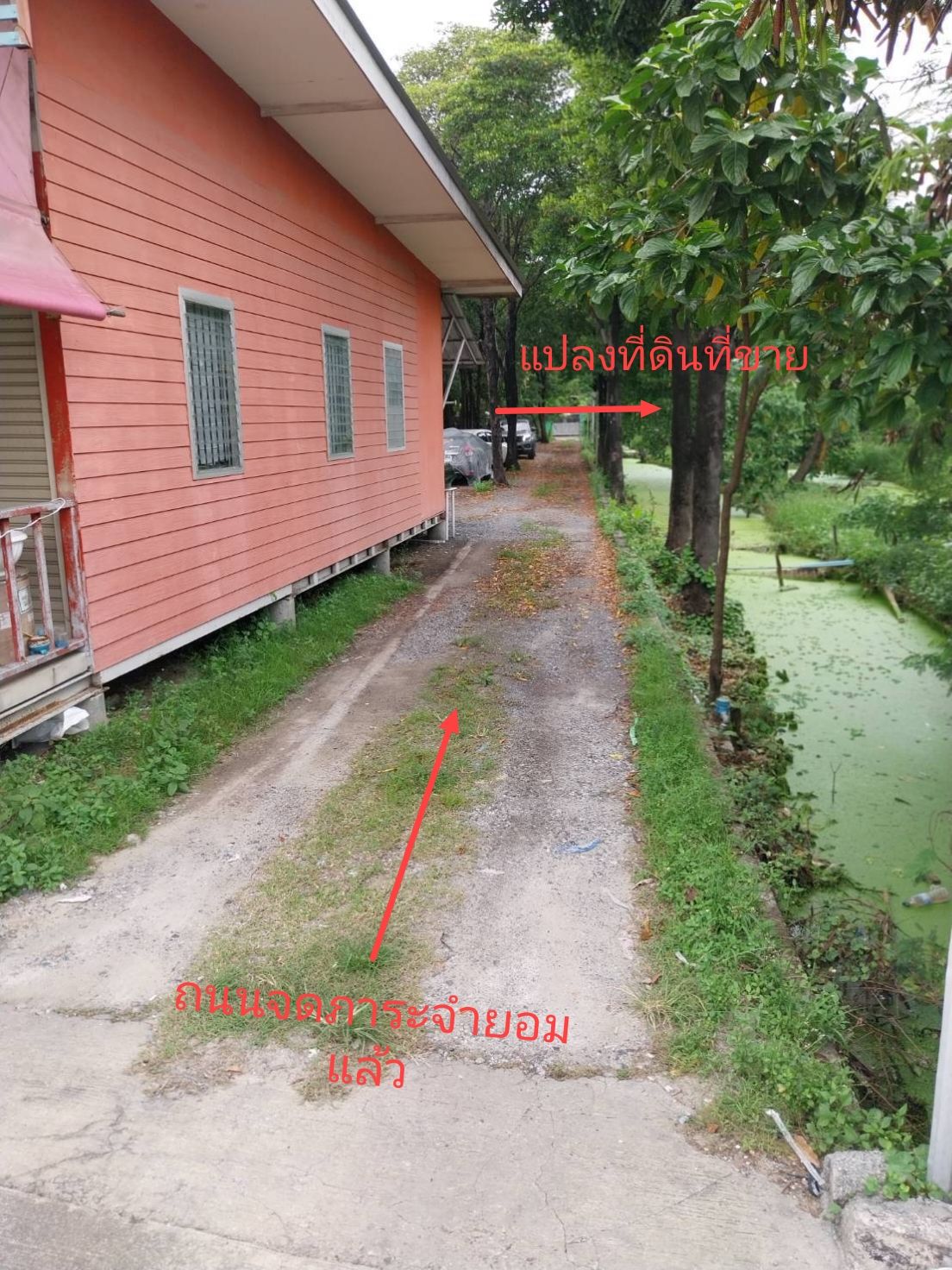 ที่ดินใกล้ทางด่วน 