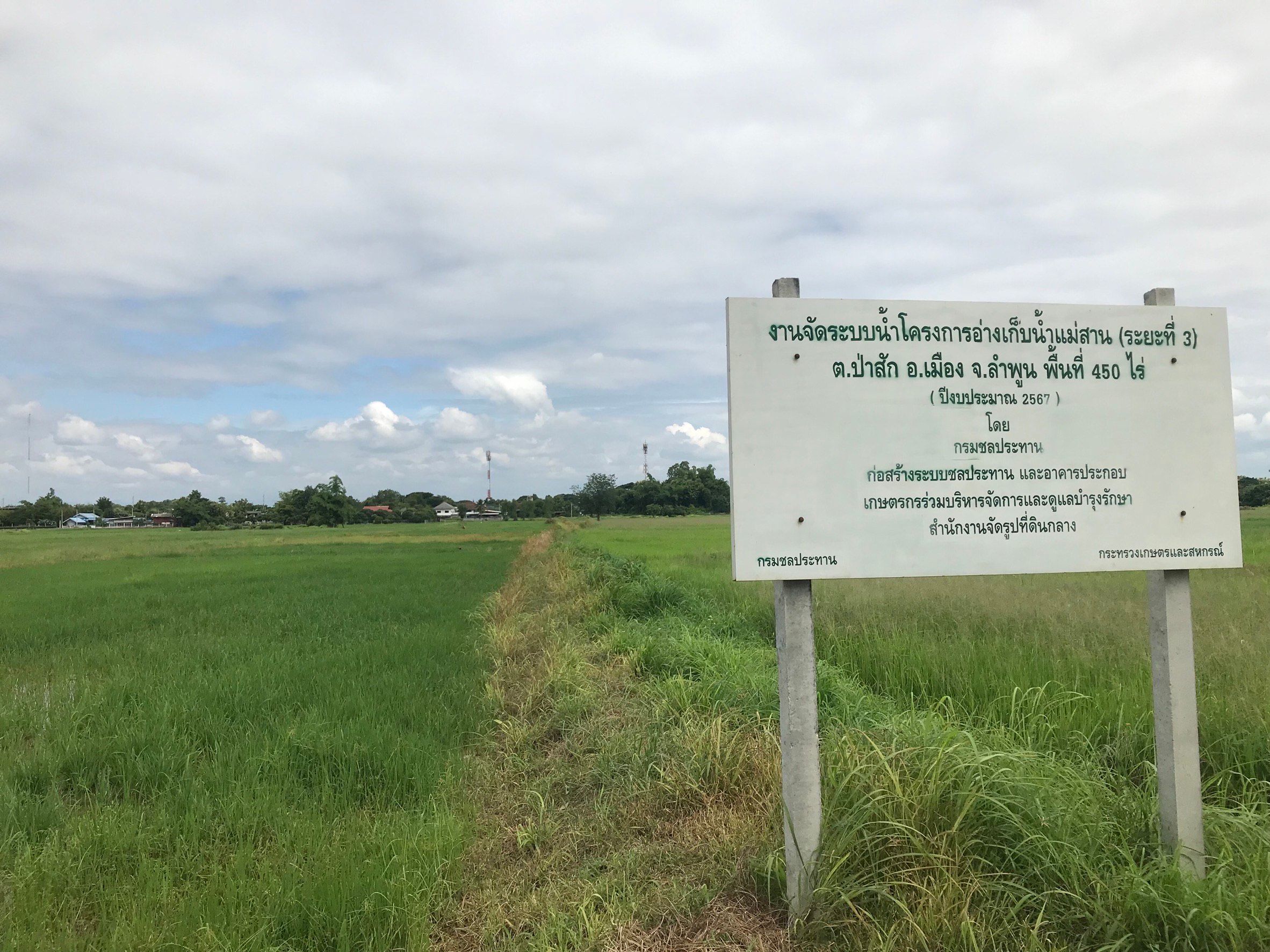 ขายที่ดินลำพูน อำเภอเมือง ที่ดินเปล่า