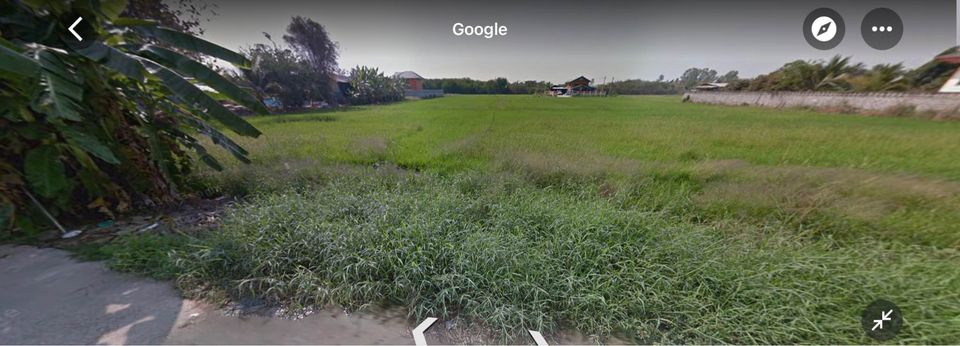 ขายที่ดินพิษณุโลก เมืองพิษณุโลก 2งาน