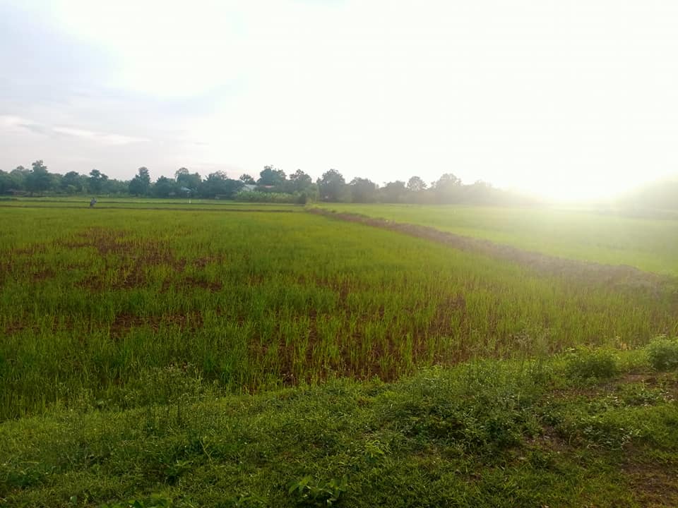 ขายที่ดิน มหาสารคาม 2 ไร่ 