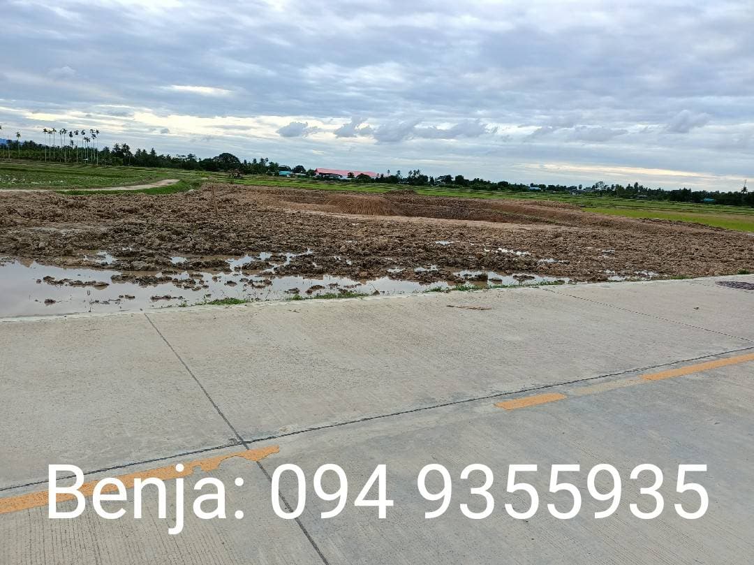 ขายที่ดิน ที่เปล่าแปลงใหญ่ ท่ายาง เพชรบุรี 13-1-99