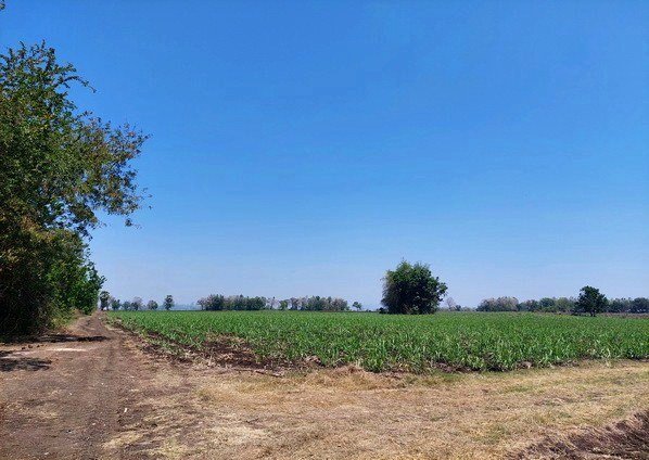 ขายที่ดิน ลพบุรี 15 ไร่