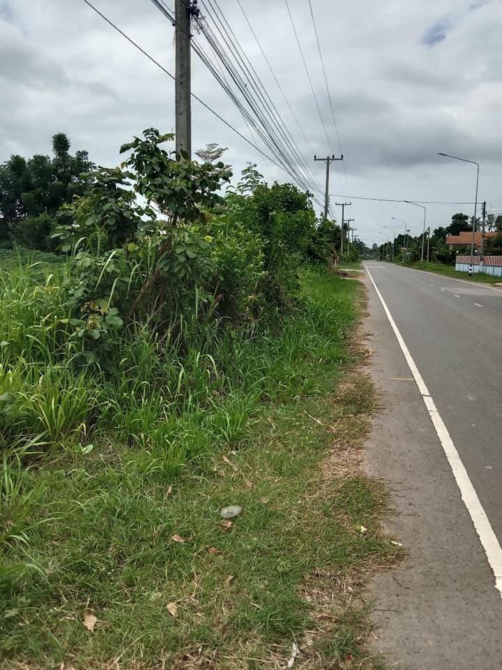 ที่ดินในชุมชน ติดถนนลาดยาง เหมาะอยู่อาศัย น้ำไฟต่อเข้าได้เลย อ.ชำนิ บุรีรัมย์