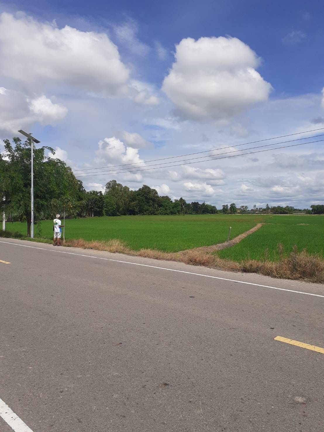 ขายที่ดิน(ที่นา)