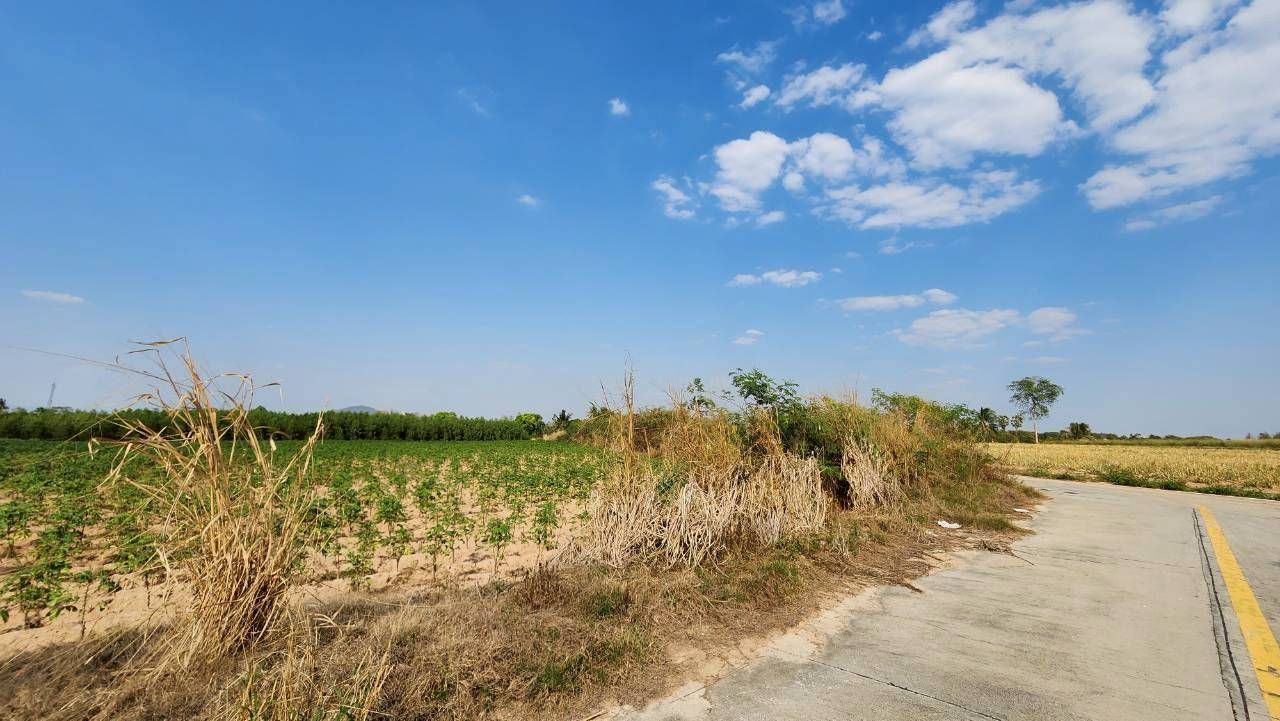 ขายที่ดิน 64 ไร่ บ่อวิน-เขาขยาย-ศรีราชา ใกล้โรงเรียนและนิคมฯ เหมาะทำหมู่บ้านจัดสรร