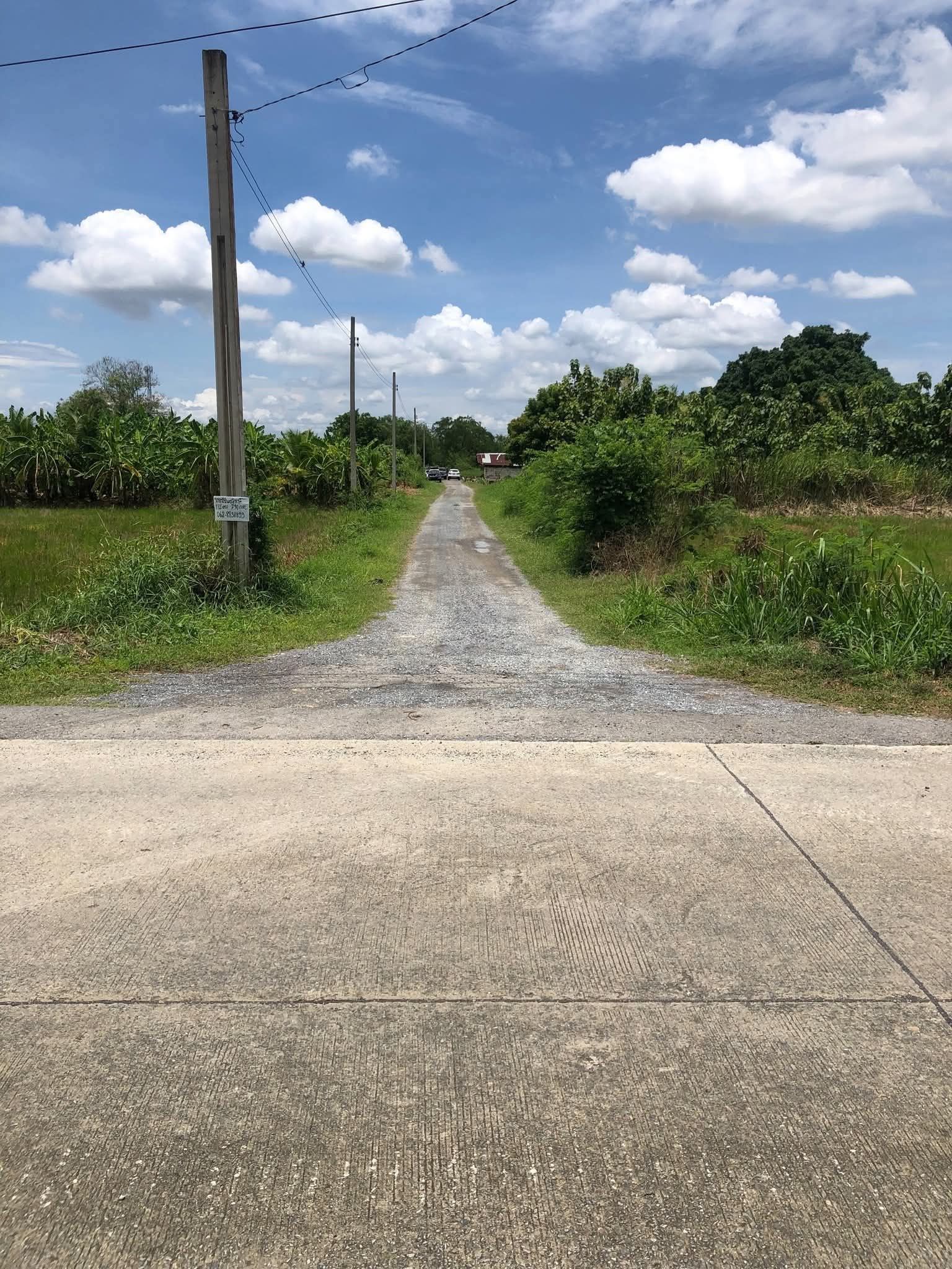 ที่ดิน 99 ตรว. นนทบุรี ไทรน้อย