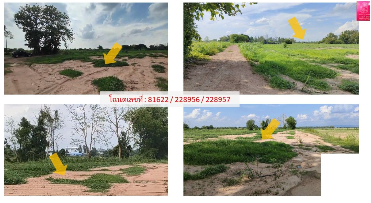 ขายที่ดิน บึงพระ เมืองพิษณุโลกทำเลดี ติดคลองสาธารณะธรรมชาติสิ่งแวดล้อมรับลมดี  