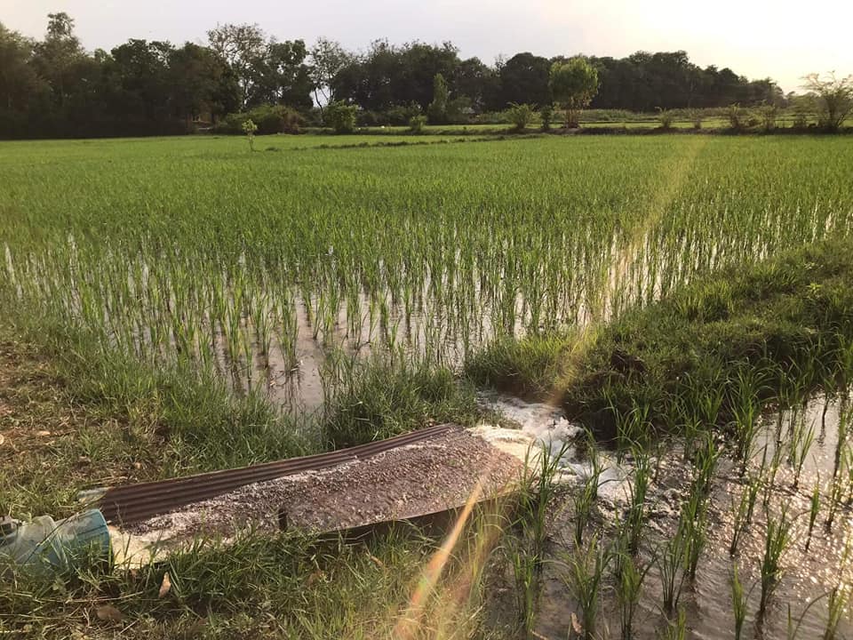 ที่ดินทุ่งนา ติดบึงท่าช้าง มีคลองส่งน้ำ อุบลราชธานี 10-2-70.2 ไร่