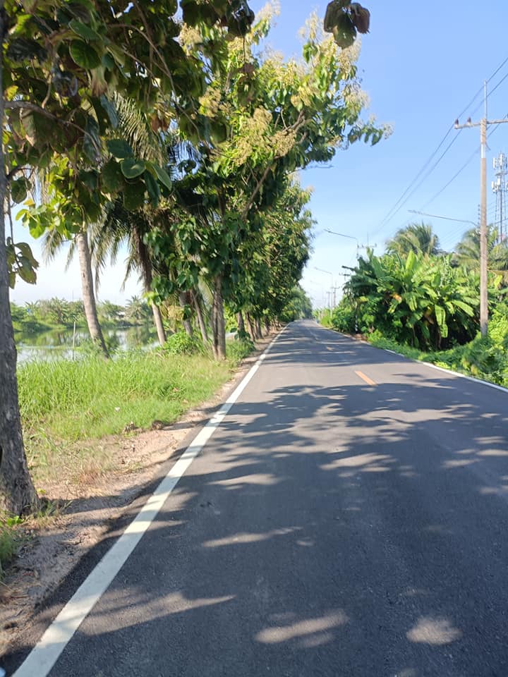 ขายที่ดิน อ.บ้านแพ้ว จ.สมุทรสาคร 3 ไร่