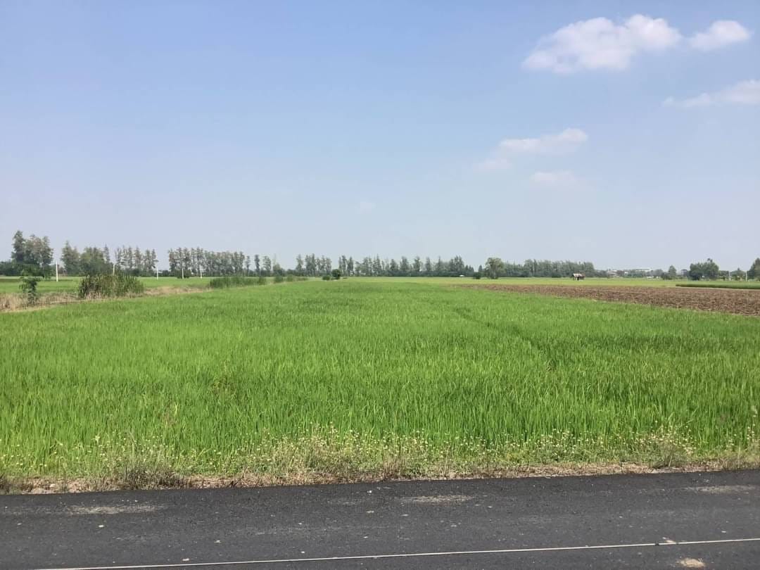 ขายที่ดินทำกิน น้ำไฟมีพร้อม ฟรีโอน