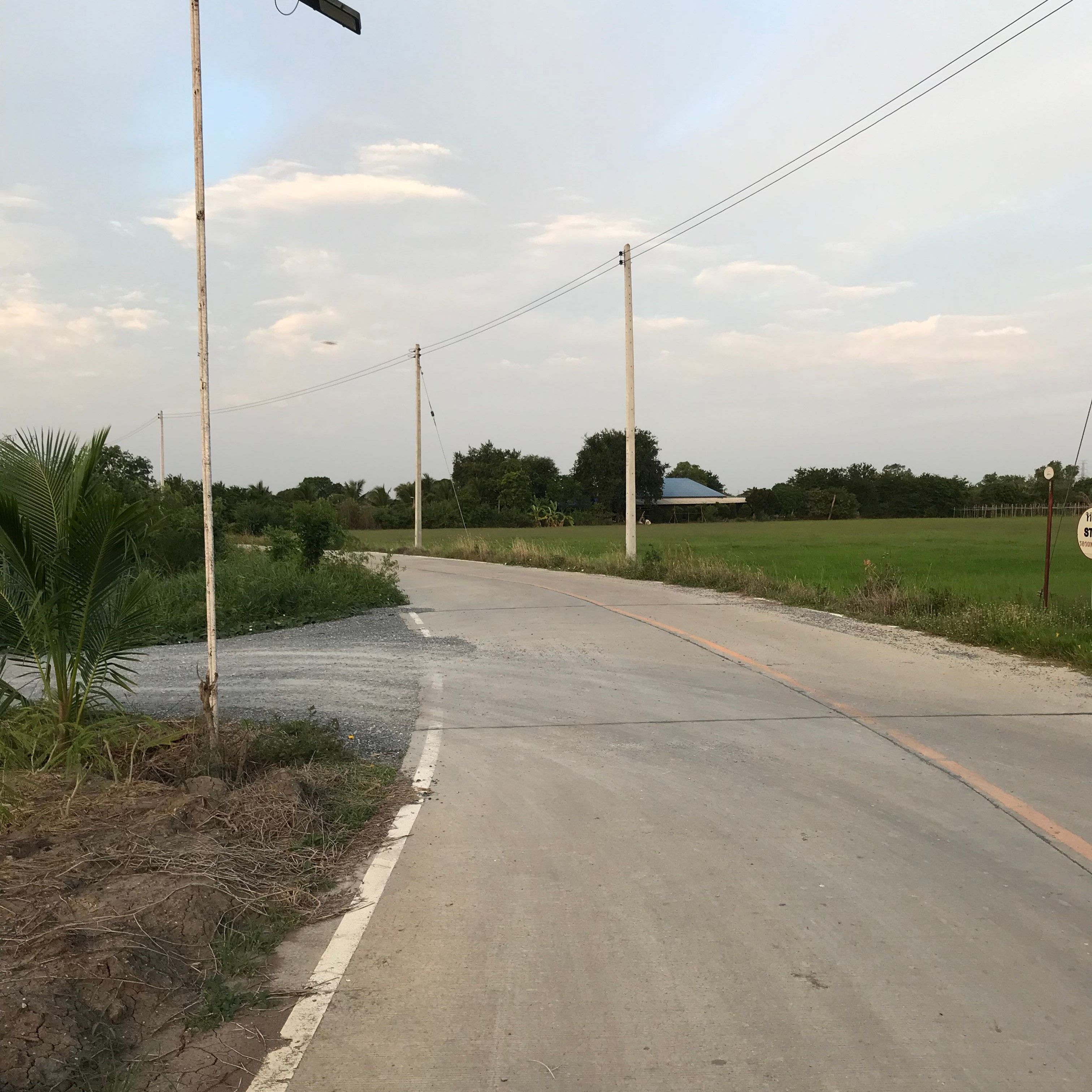 ขายที่ดินนครปฐม พื้นนา