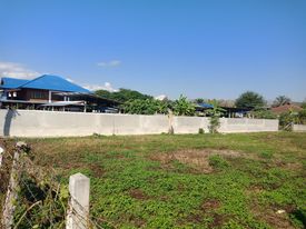 ที่ดินแปลงสวย ล้อมรั้วแล้ว แม่ริม 2 งาน