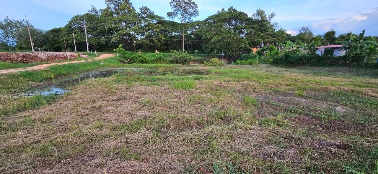 ขายที่ดินอุดรธานี อำเภอเมือง ที่ดินทำเลดี ใกล้ถนนเลี่ยงเมืองอุดรธานี สัญจรสะดวก เหมาะลงทุน 15-2-42.7 ไร่.