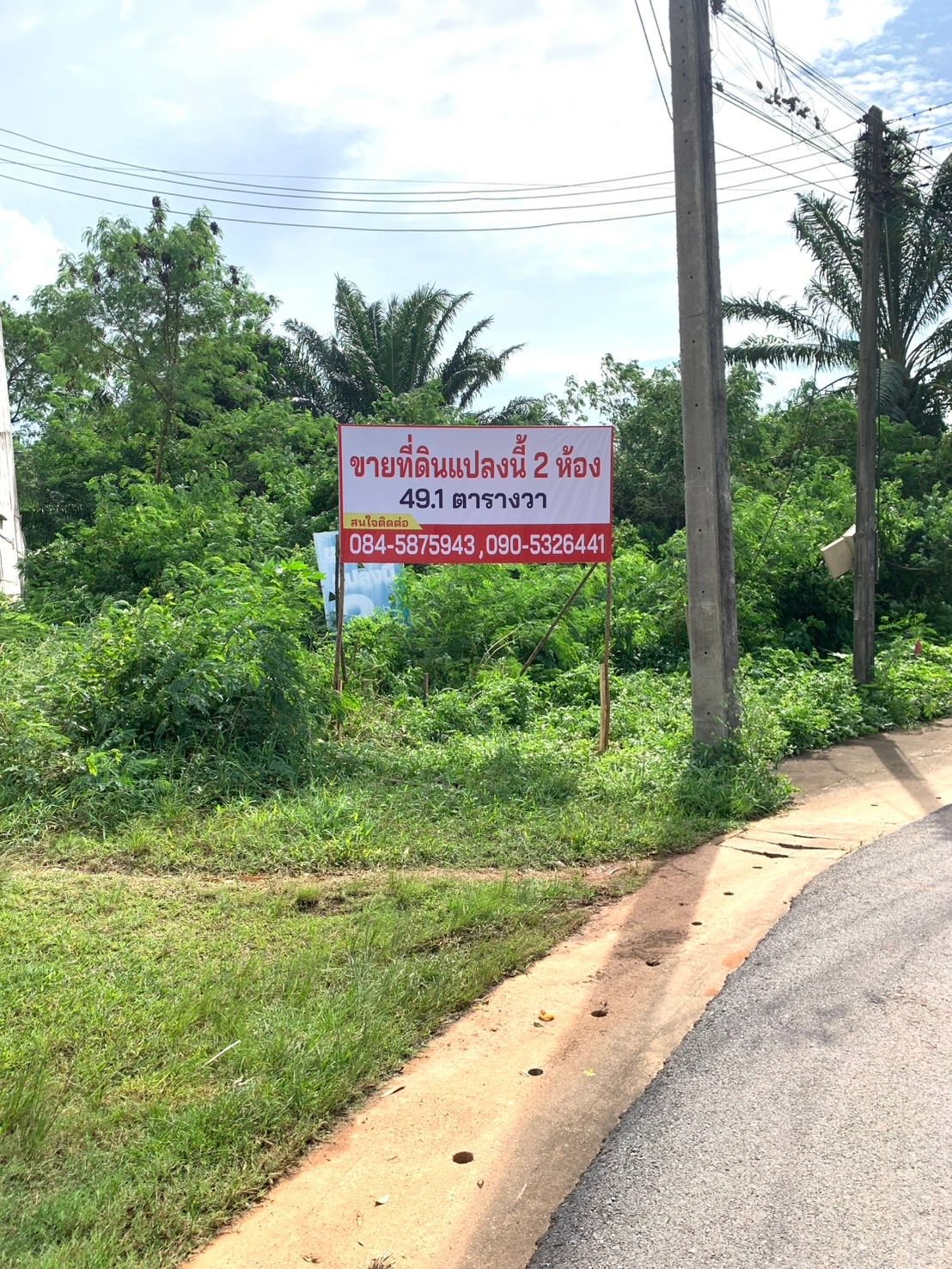 ขายที่ดินสงขลา อำเภอหาดใหญ่ ที่ดินเปล่า ทำเลดี สาธารณูปโภคครบ 0-0-49.1 ไร่.