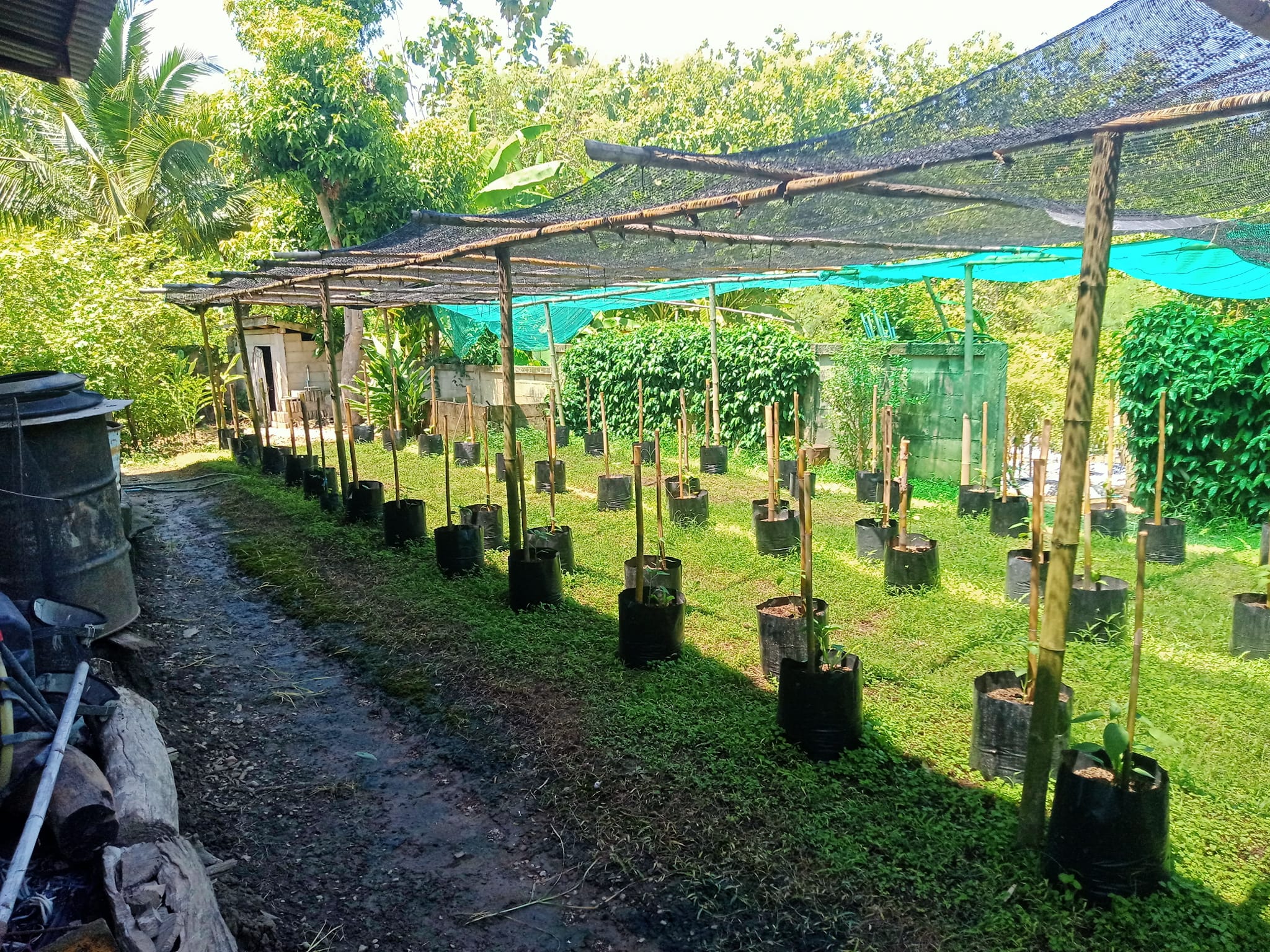 ขายบ้านพร้อมที่ดิน แม่ทะ ลำปาง 0-3-63
