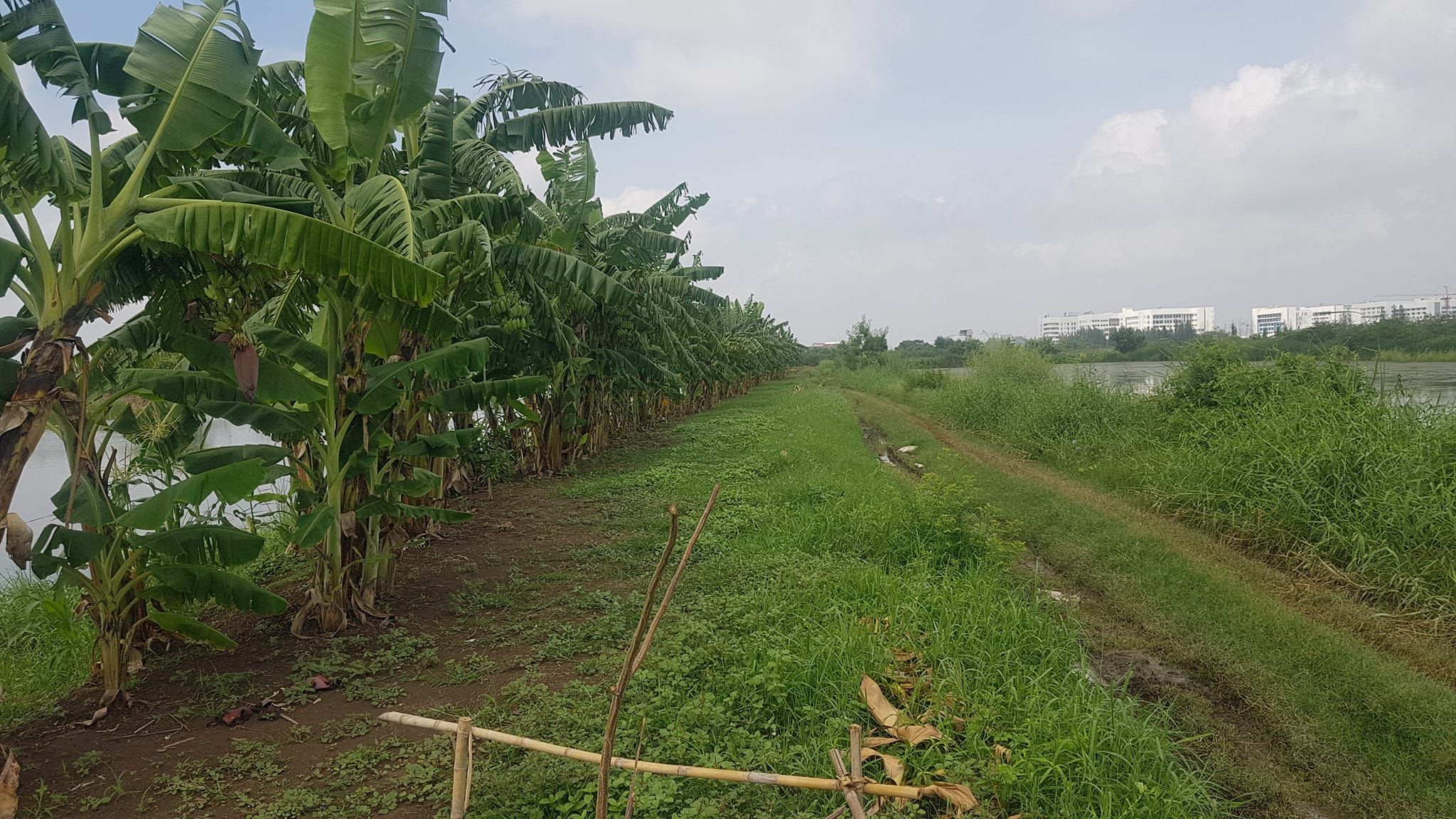ขายที่ดินสมุทรปราการ อำเภอบางพลี