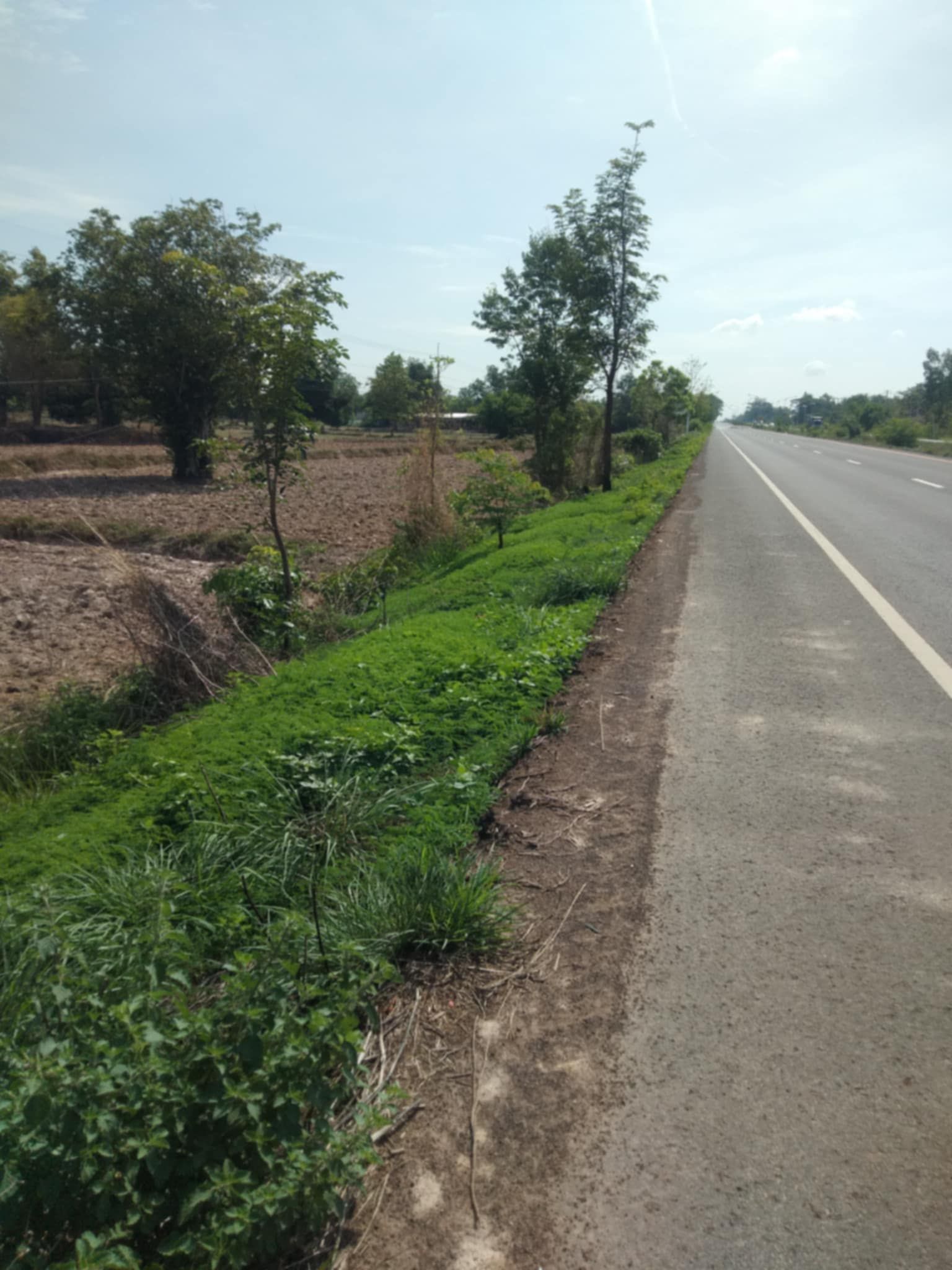 ที่ดินติดถนน