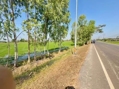 ขายที่ดินสกลนคร อ.พังโคน ติดถนนกว้าง