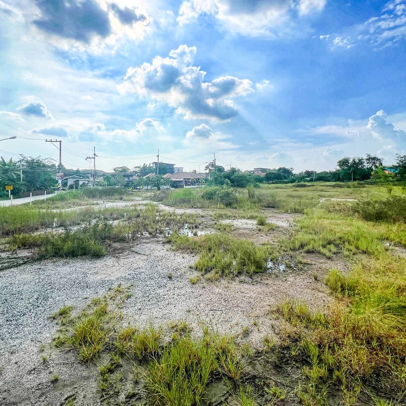 ขายที่ดินชลบุรี ขายที่ดินพานทอง ขายที่ดินอมตะนครชลบุรี