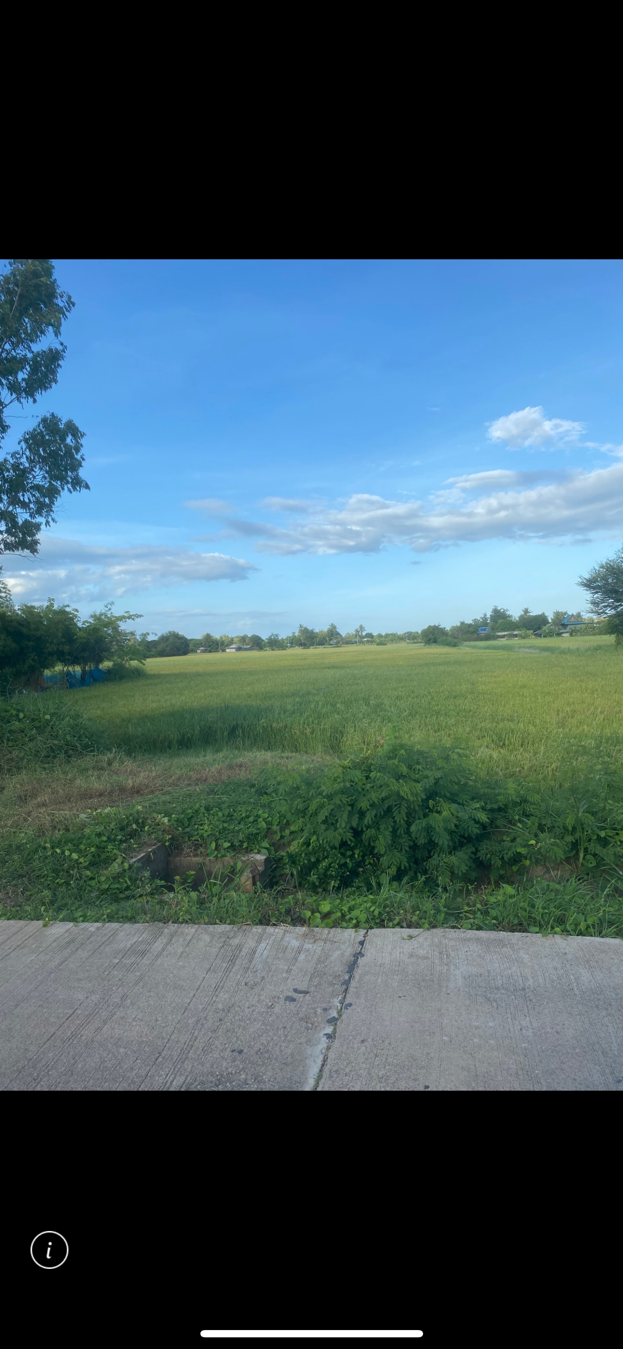 ขายที่ดินเหมาะกับการทำการเกษตร